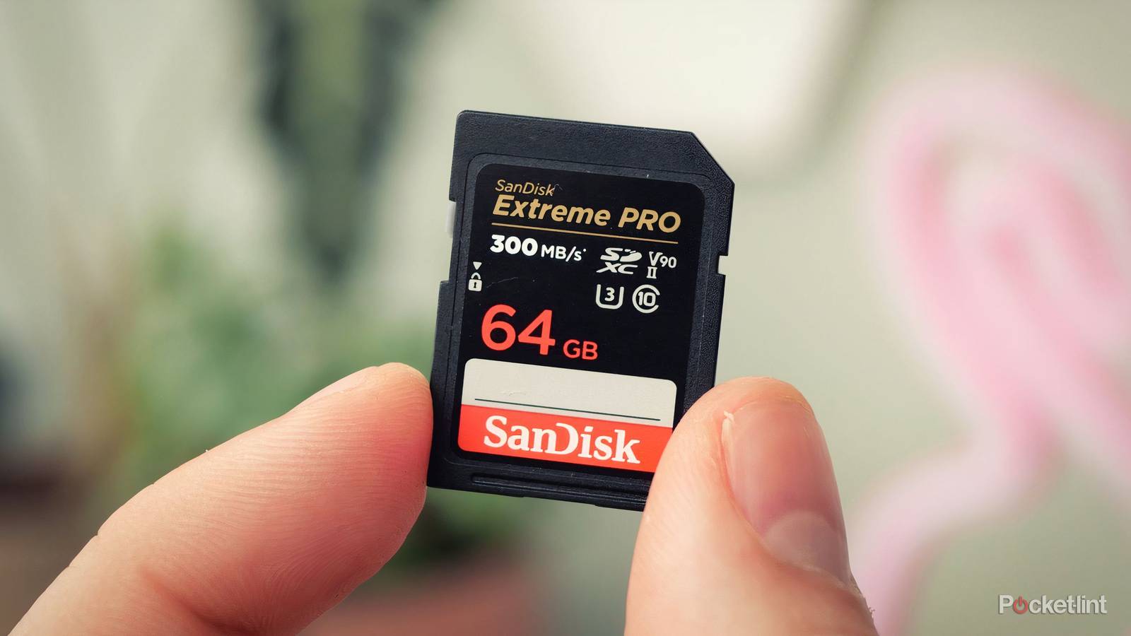 4 reasons why SD cards are the ultimate form of physical media