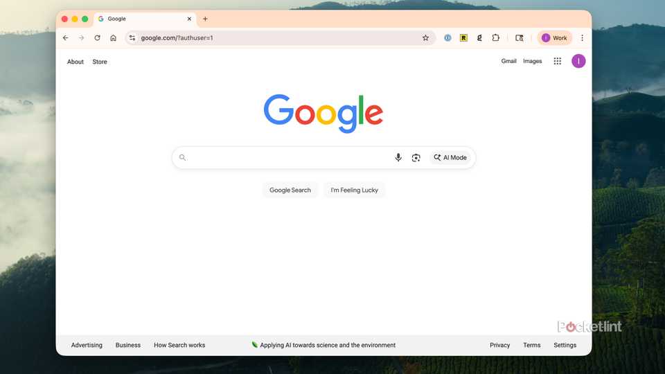 A new tab opened to Google in Chrome.