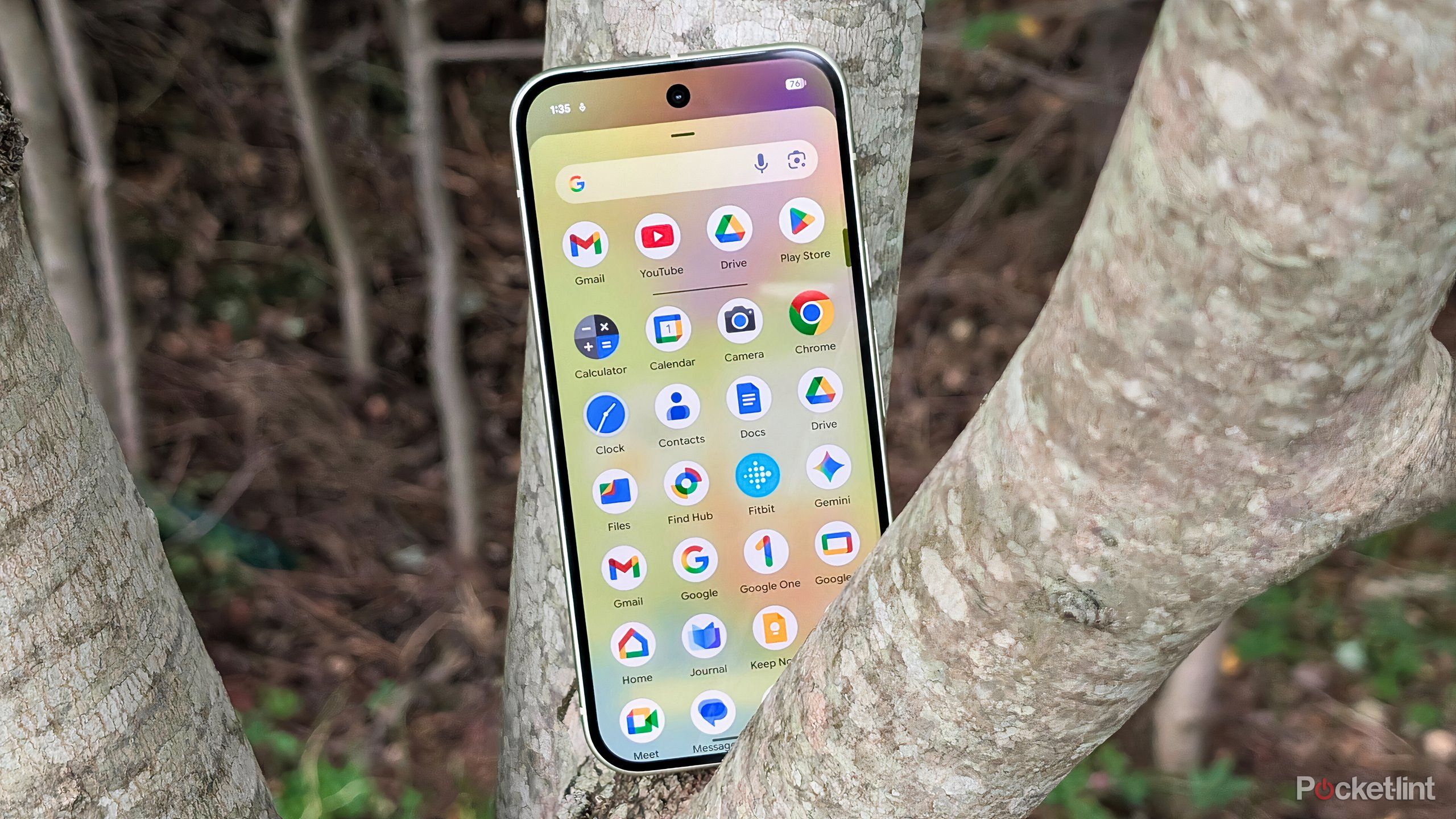 Google Pixel beauty 1