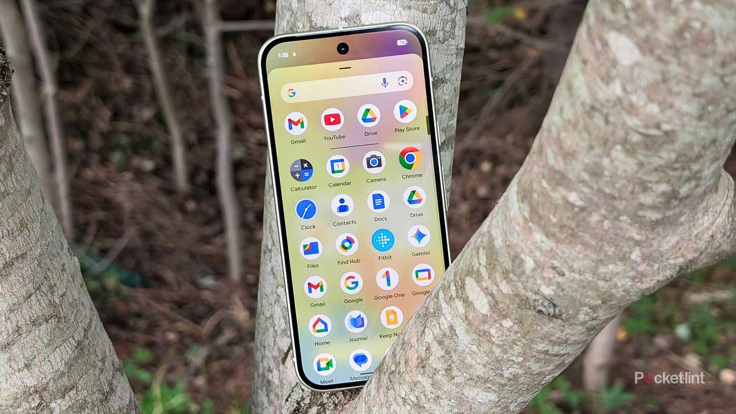 A Google Pixel phone in a tree.