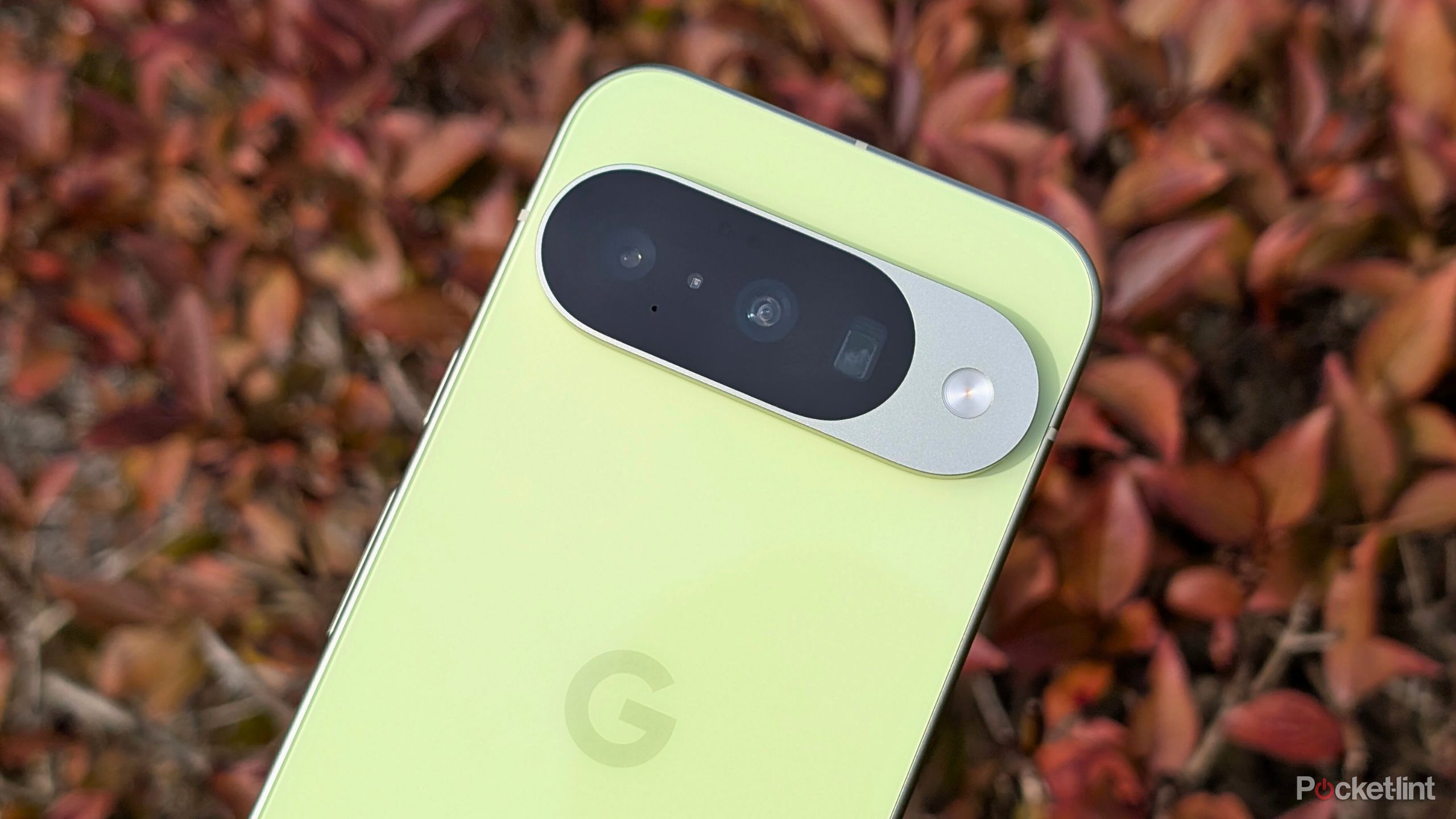 Google Pixel beauty 4