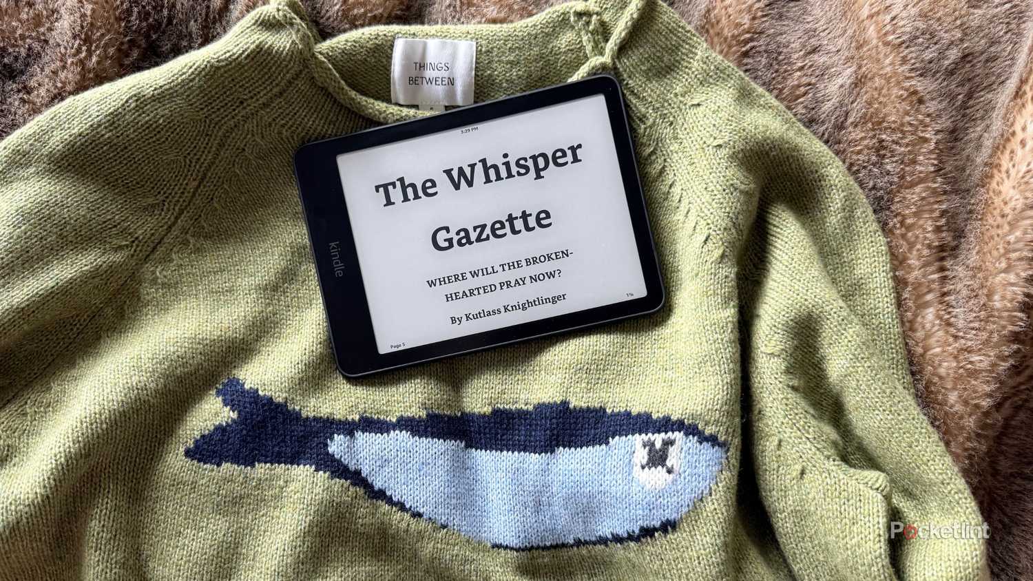 Kindle landscape big text.