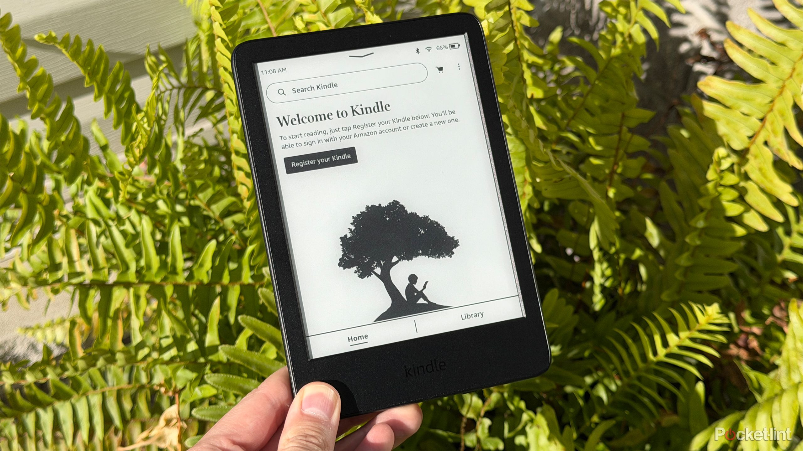 Kindle in front of plant.