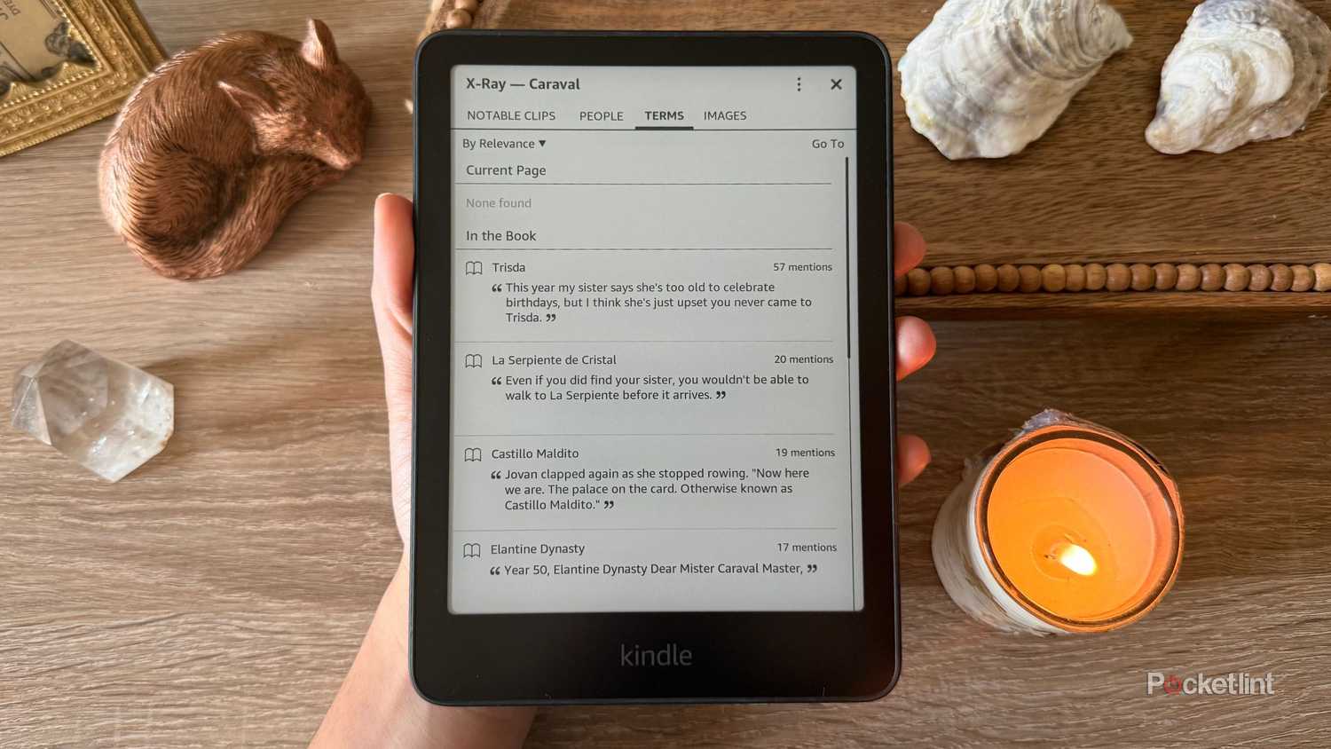 The Terms tab on Kindle X-Ray. 
