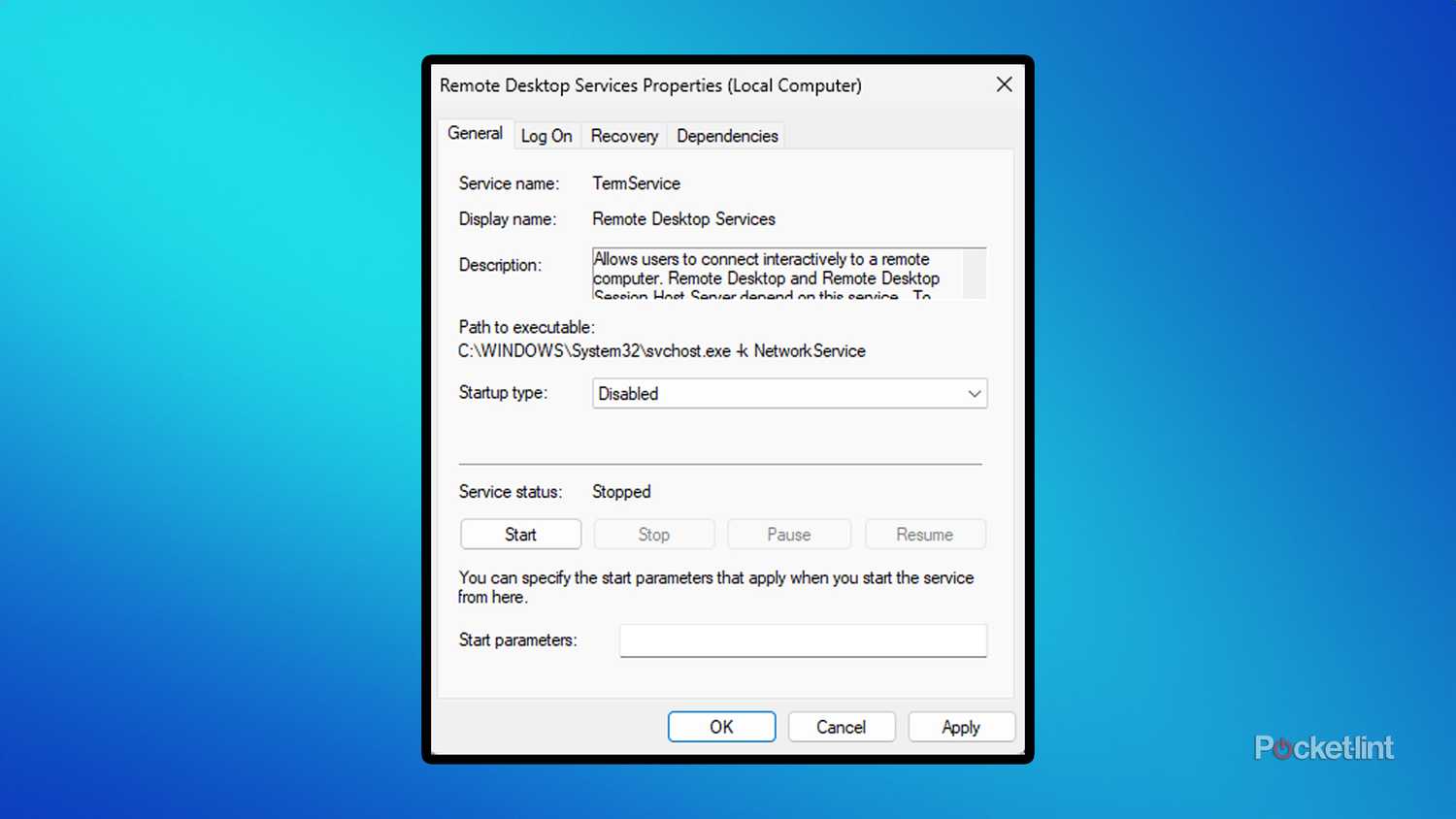 Windows 11 Remote Desktop Services.