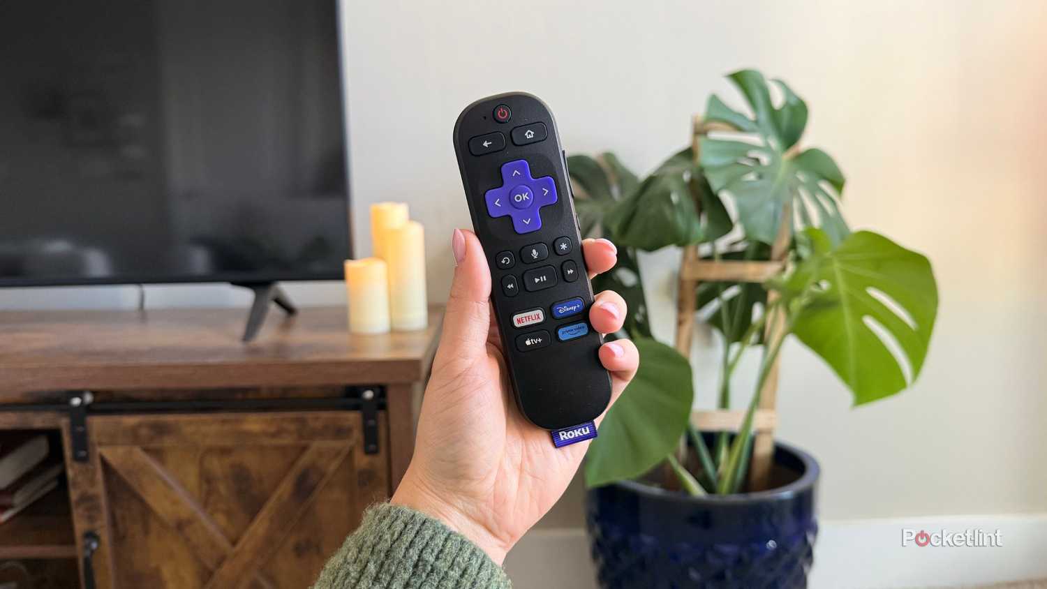 Roku buttons. 