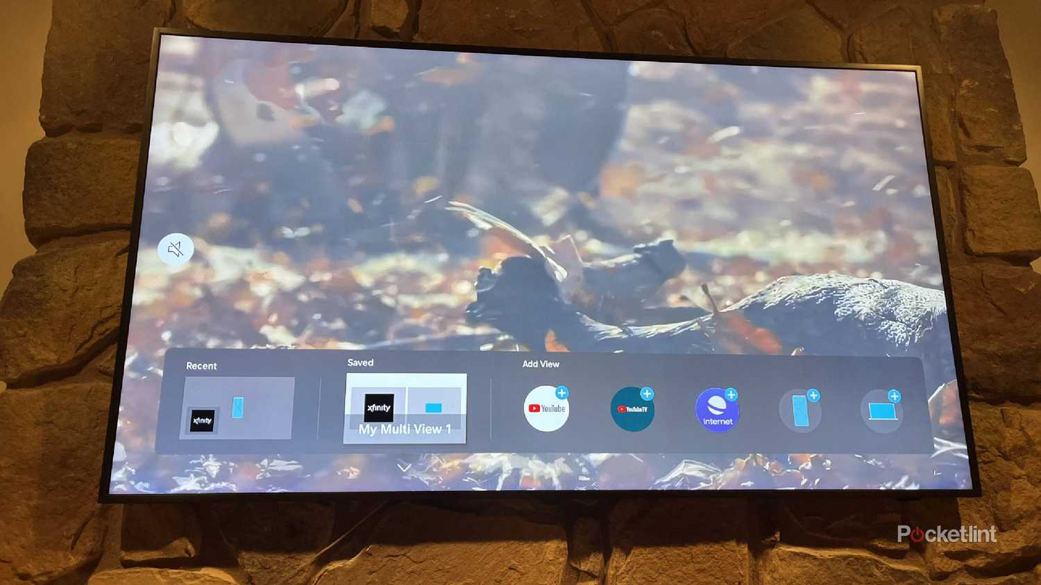Samsung tv multi view settings.