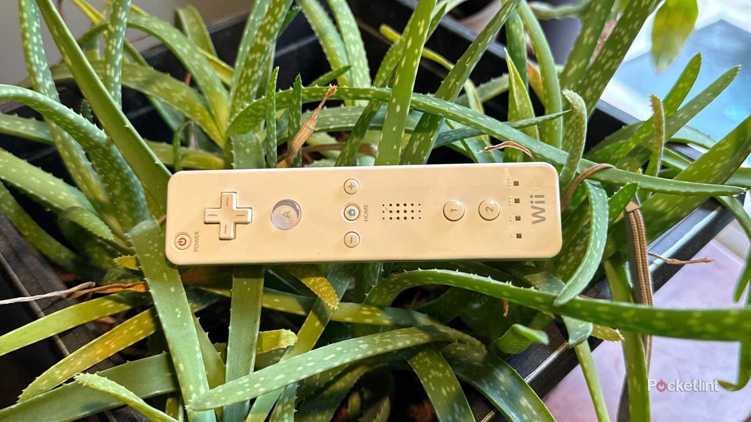 A beat up Wii remote.