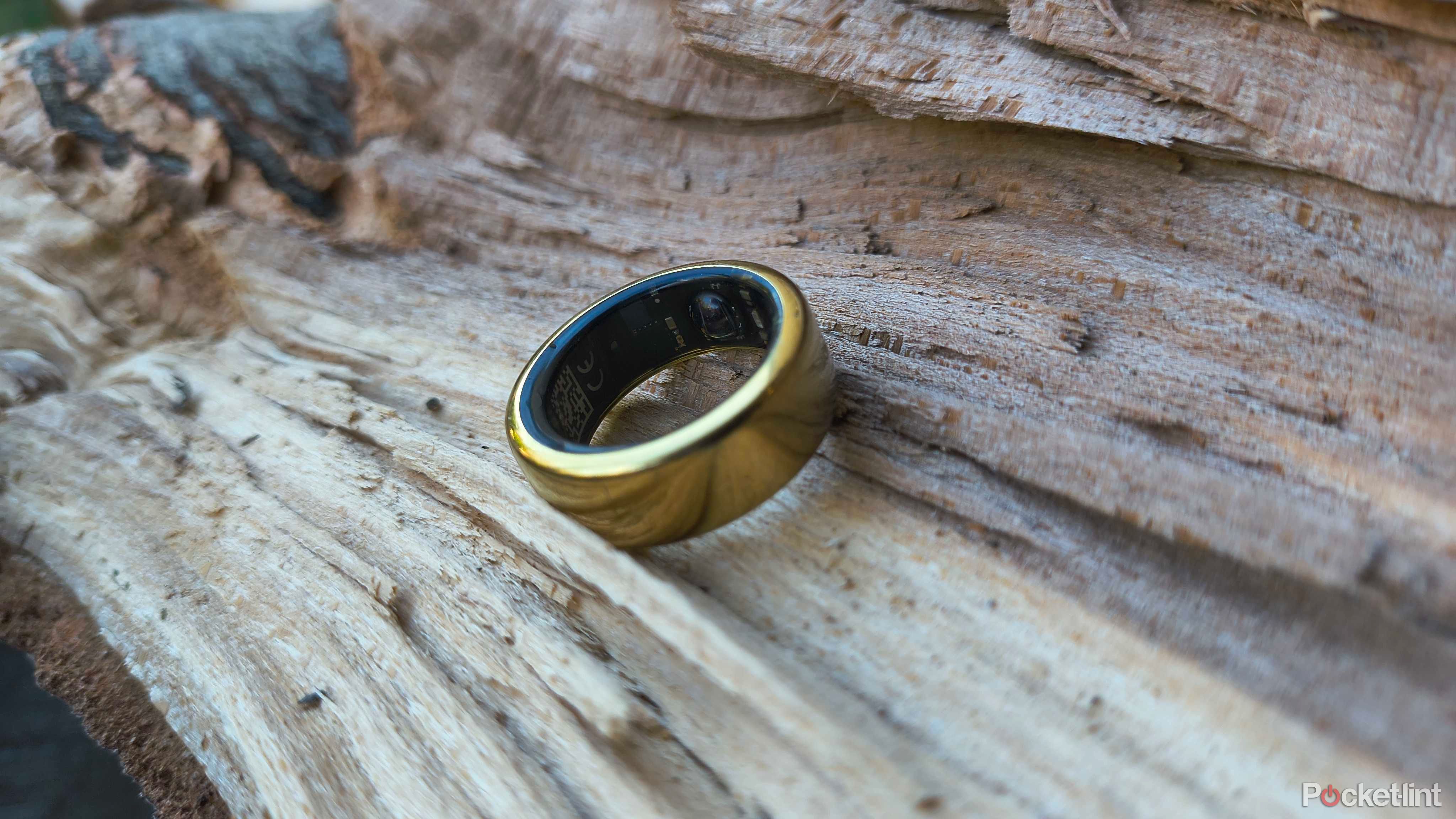An Oura Ring 3 on a log. 