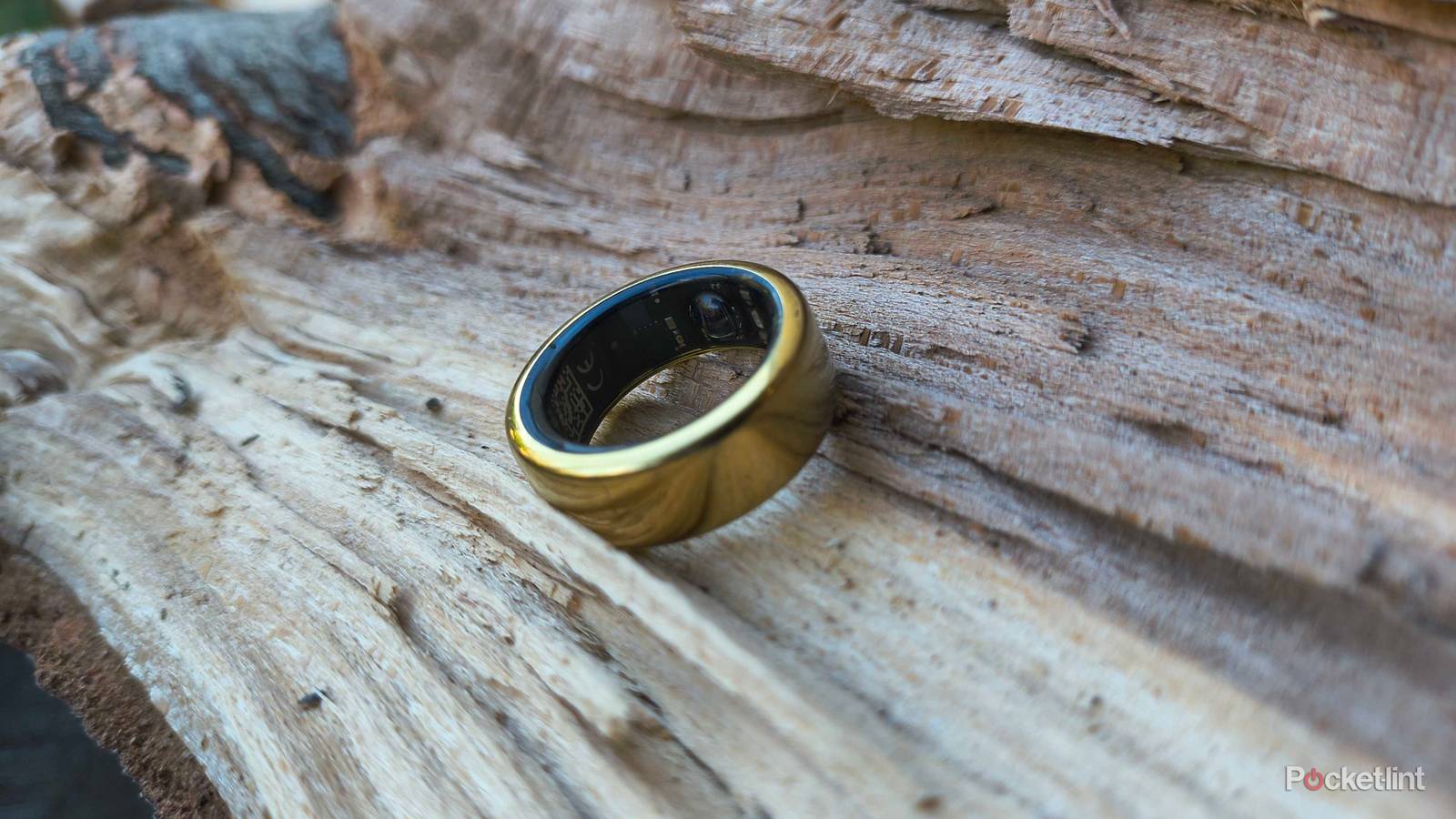 An Oura Ring 3 on a log. 