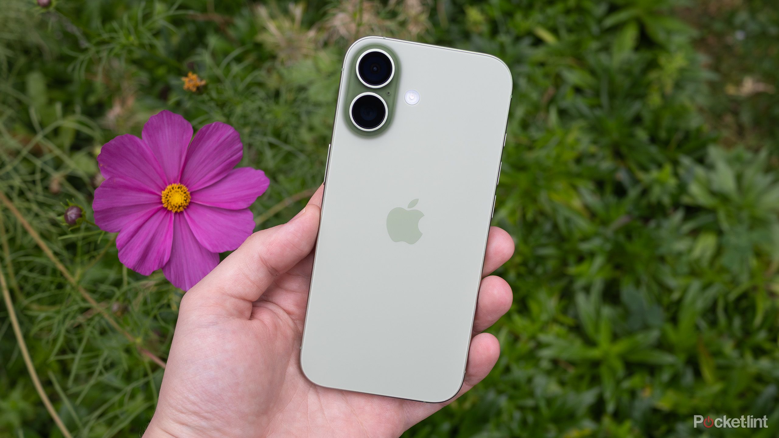 The back of the sage iPhone 17 