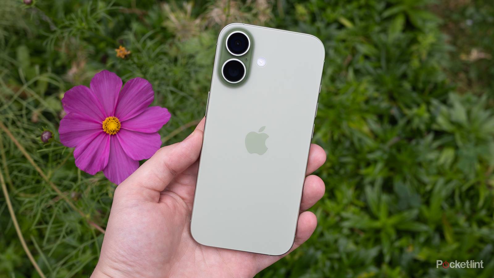 The back of the sage iPhone 17 