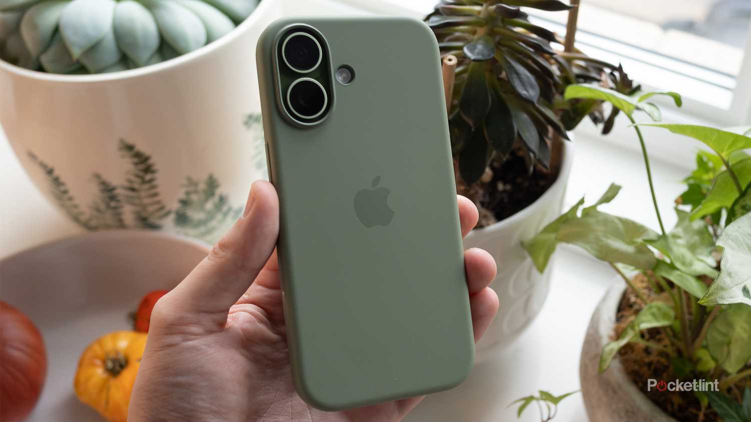 The back of the iPhone 17 in a case 