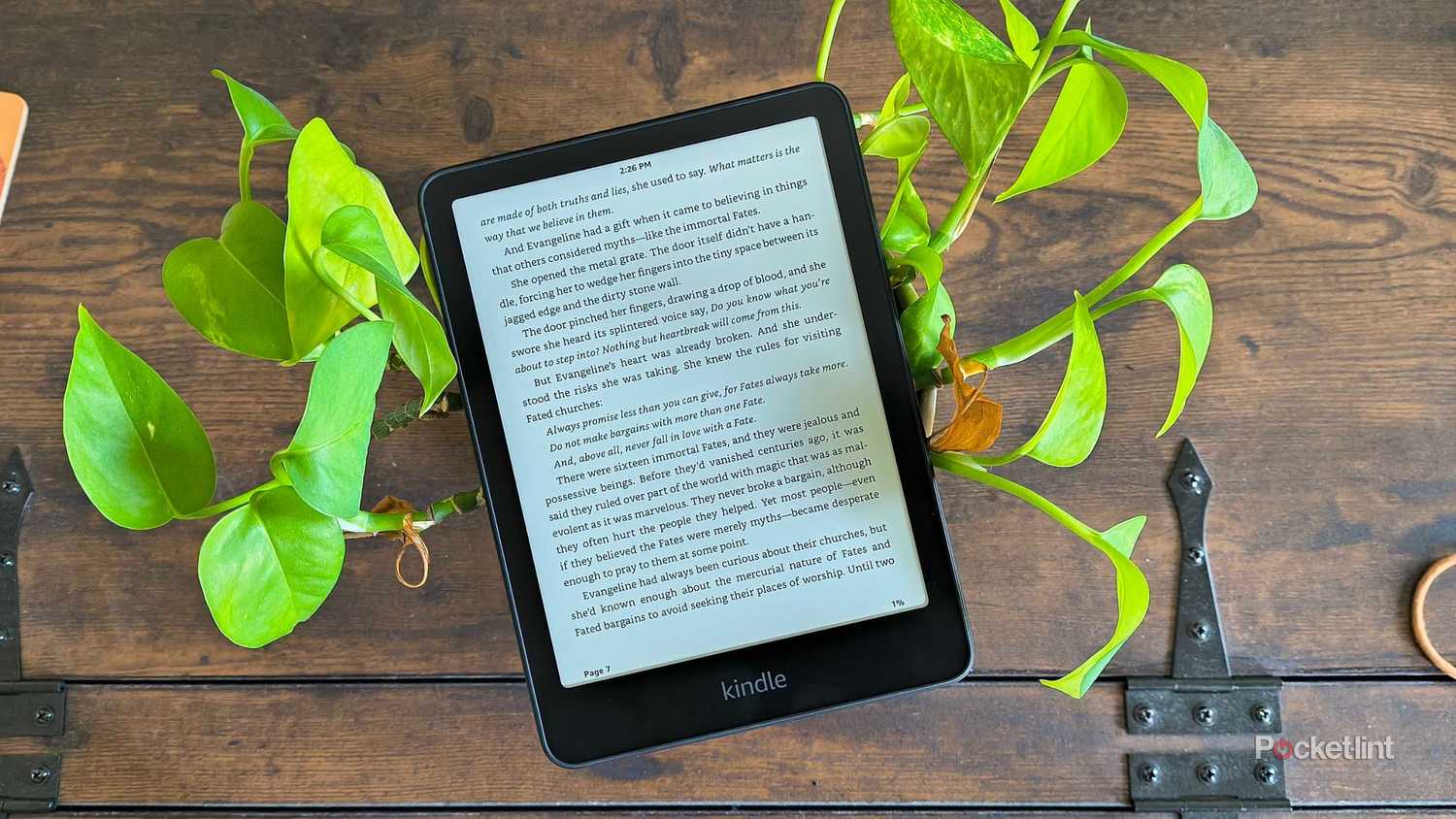 Kindle in a plant. 