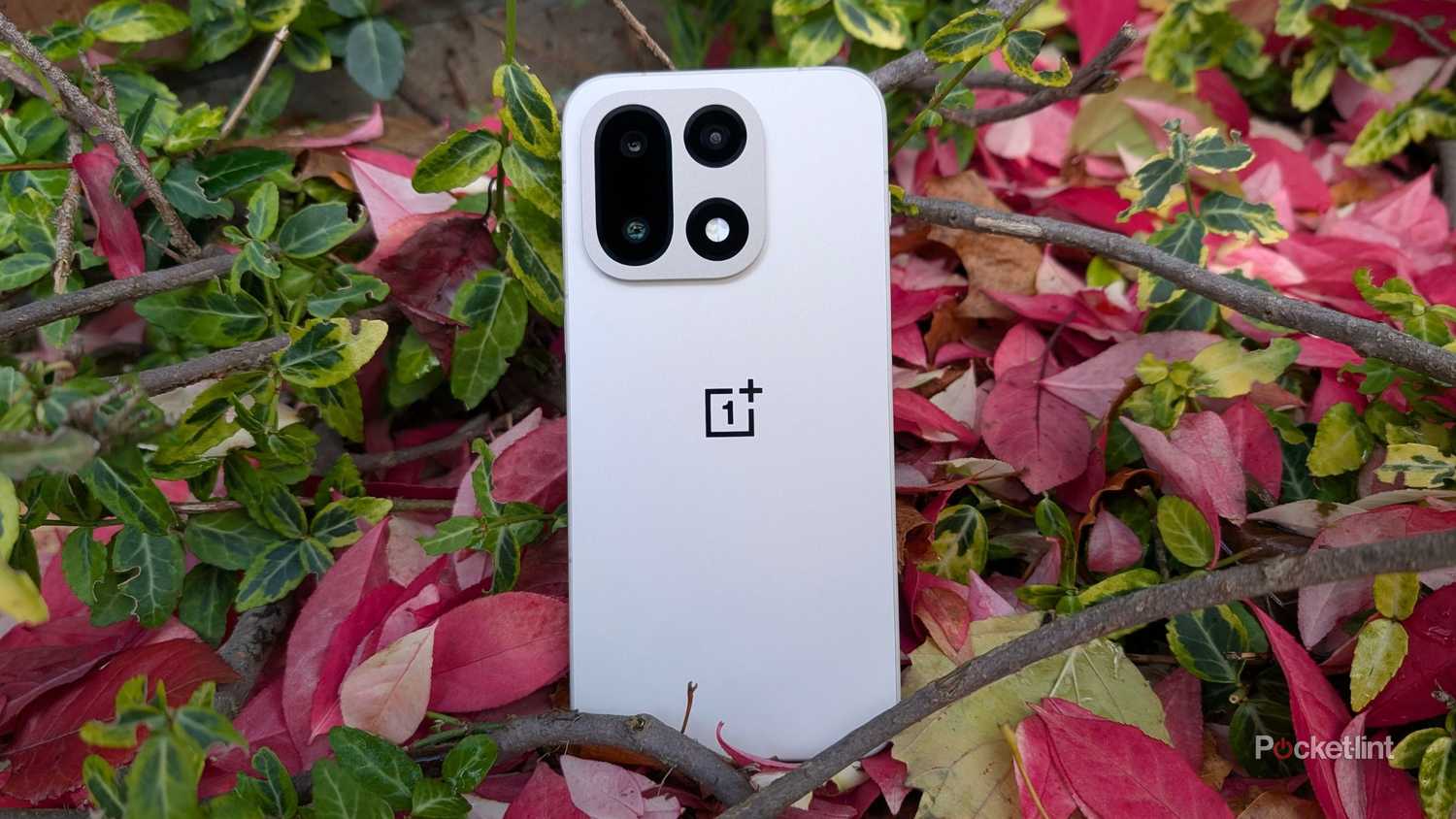 A OnePlus 15 beauty shot.