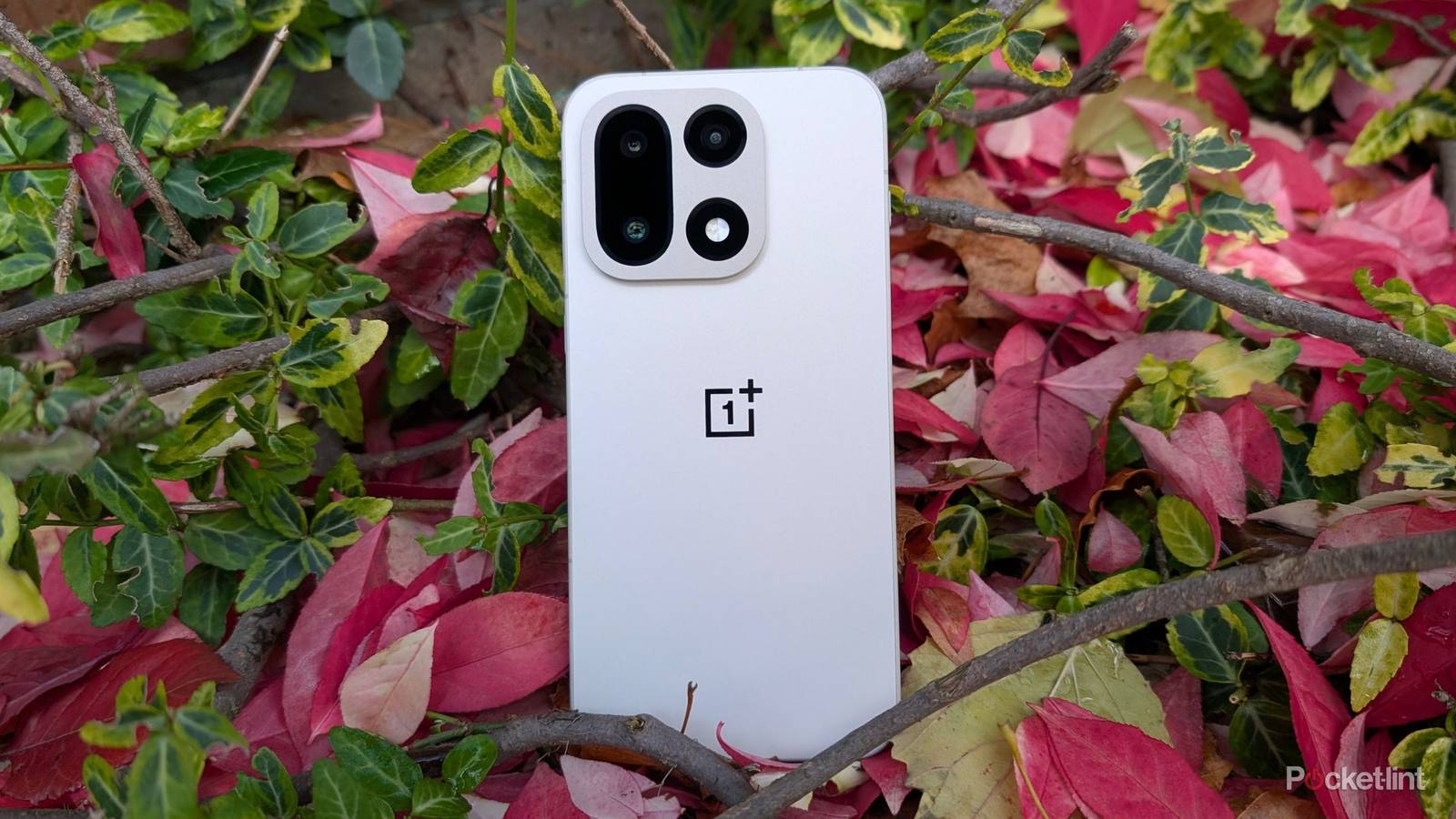 OnePlus 15 beauty shot 1