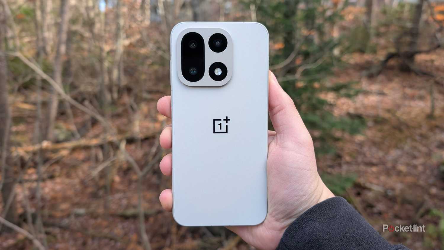 عکس زیبایی OnePlus 15 10