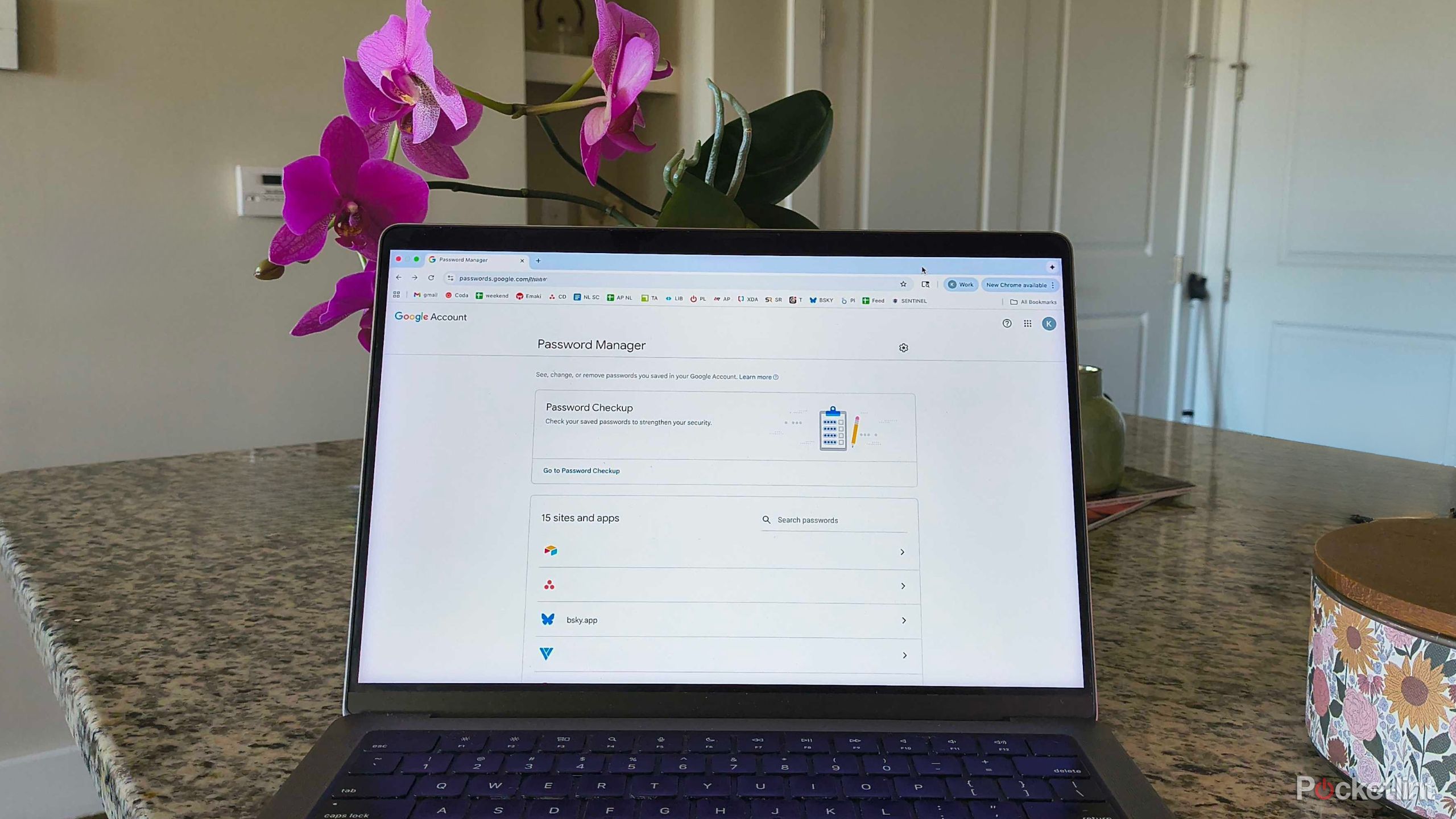 Google Password manager on a MacBook Pro. 