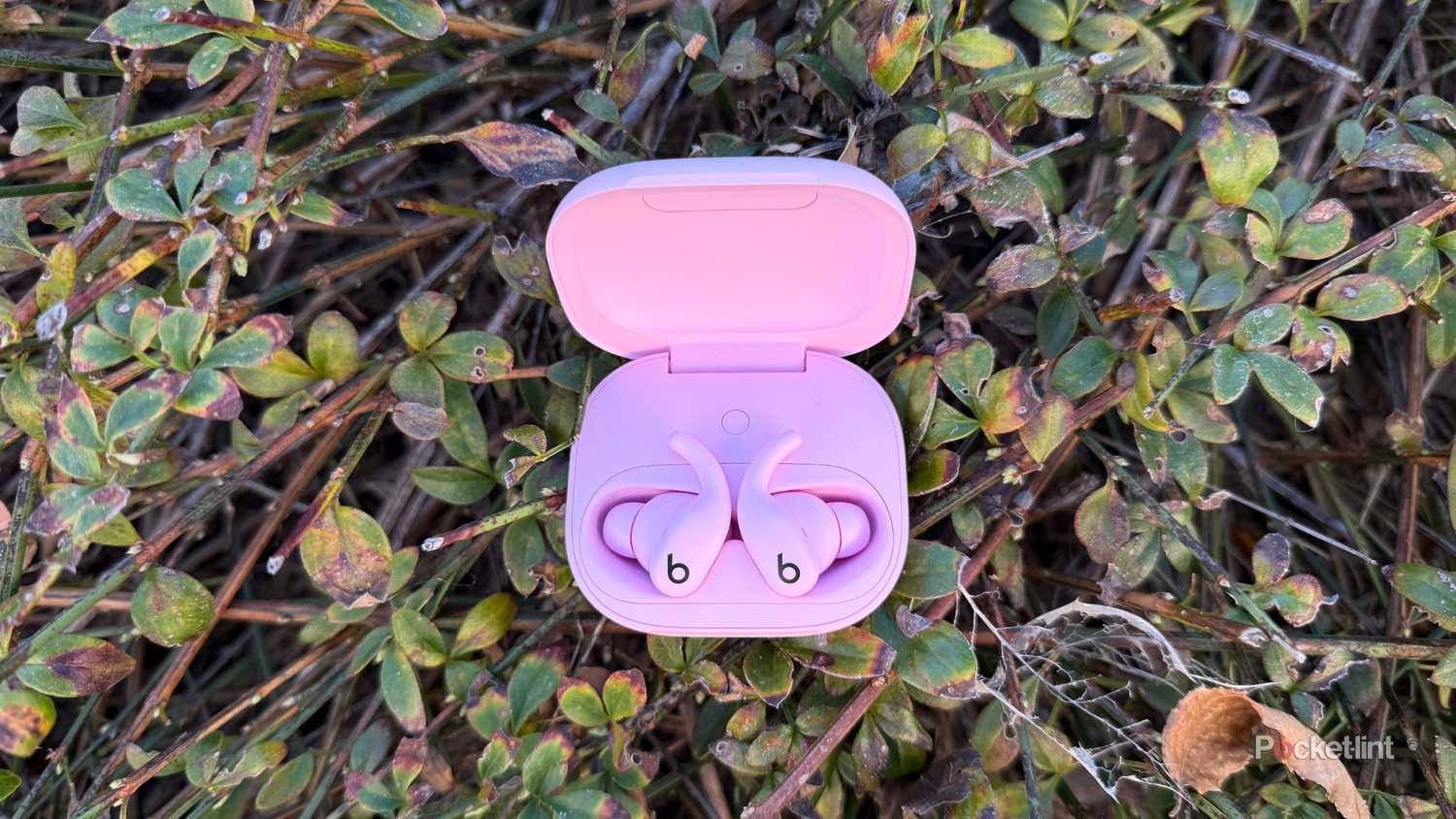 Powerbeats Fit in a bush.