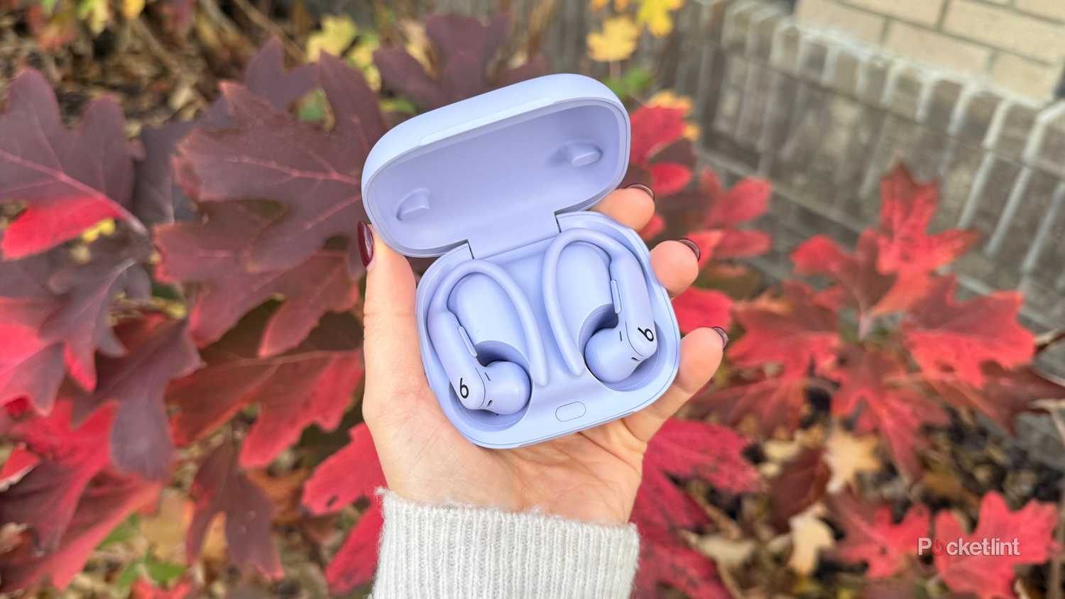 Purple Powerbeats Pro 2 headphones in case. 