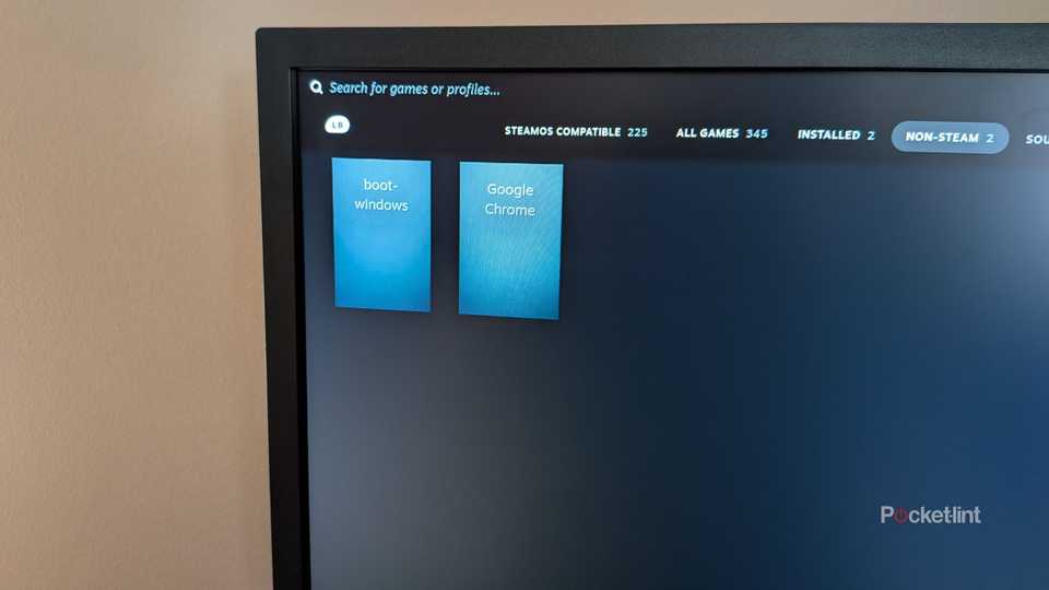 Two icons in Steam on Bazzite.
