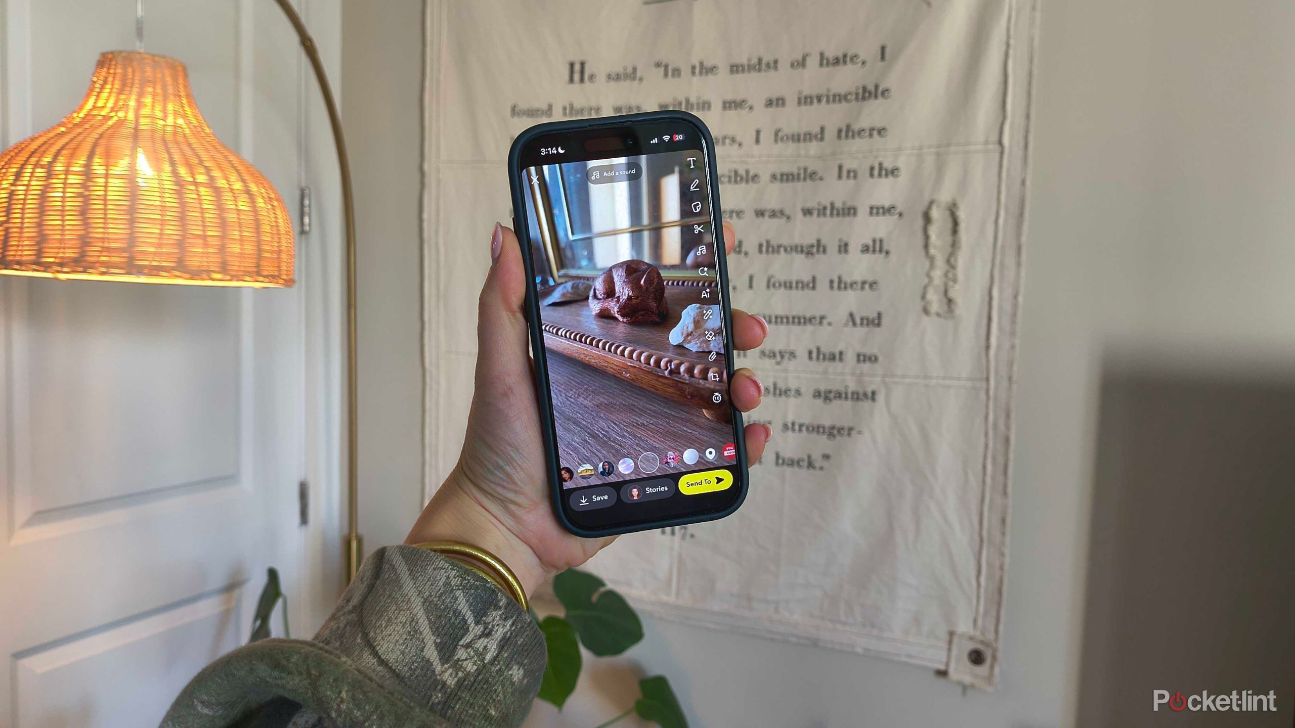 Someone taking a Snapchat. 