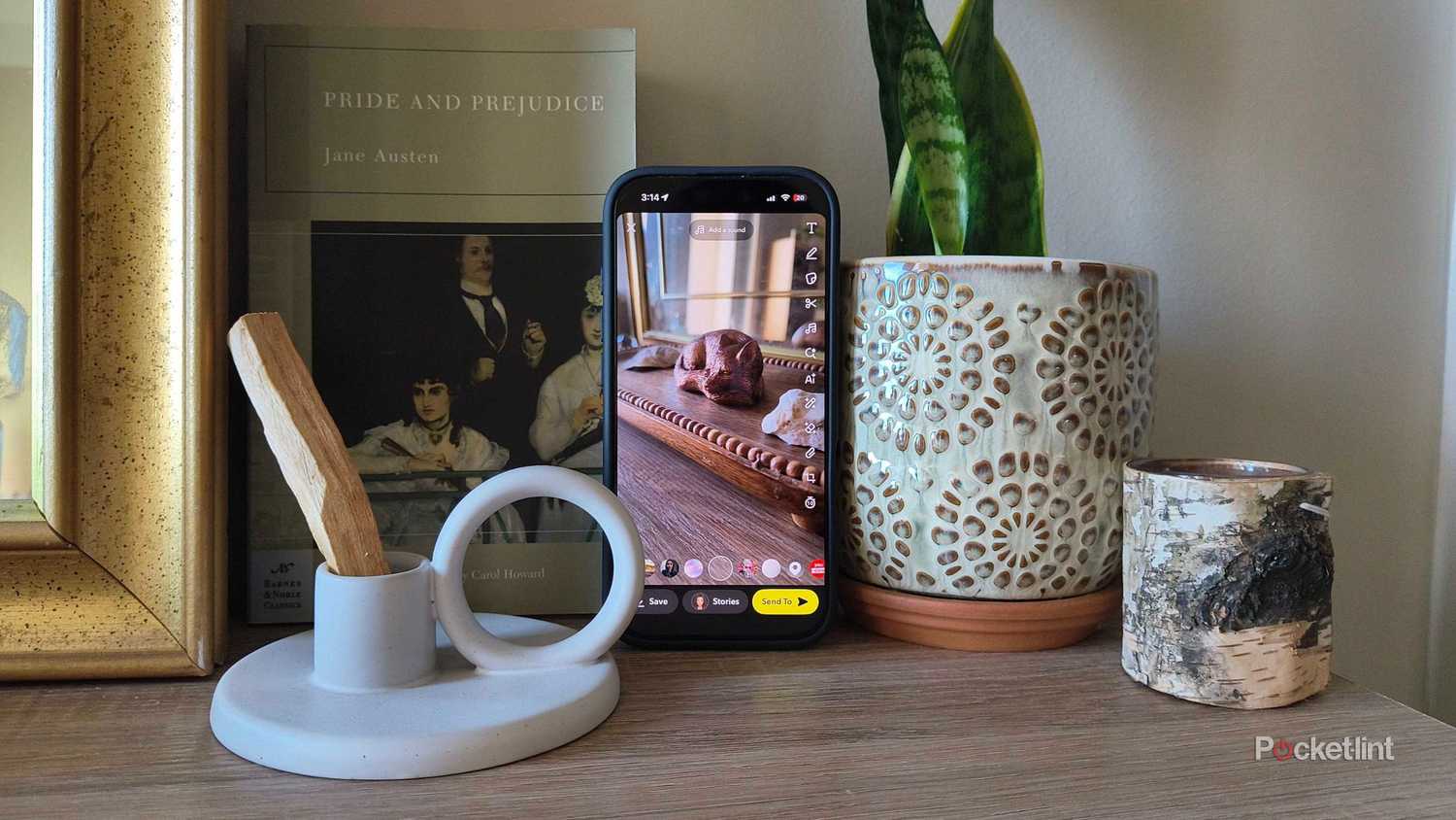 A Snapchat taken of a fox. 