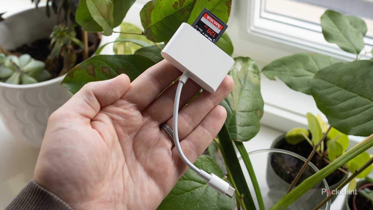 USB-C SD card adapter