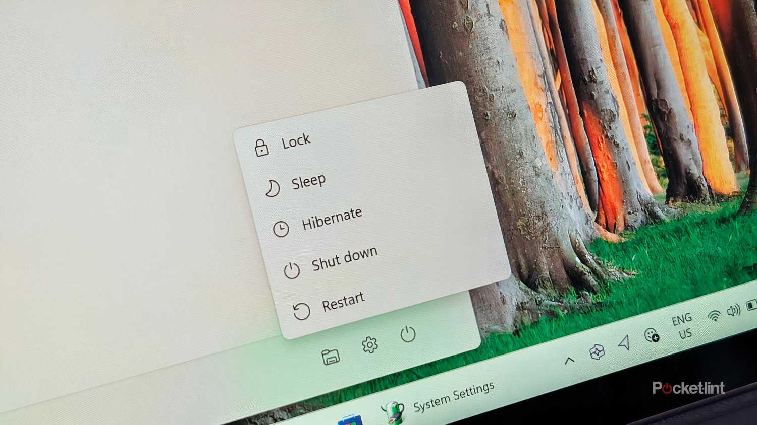 Windows 11 power options.