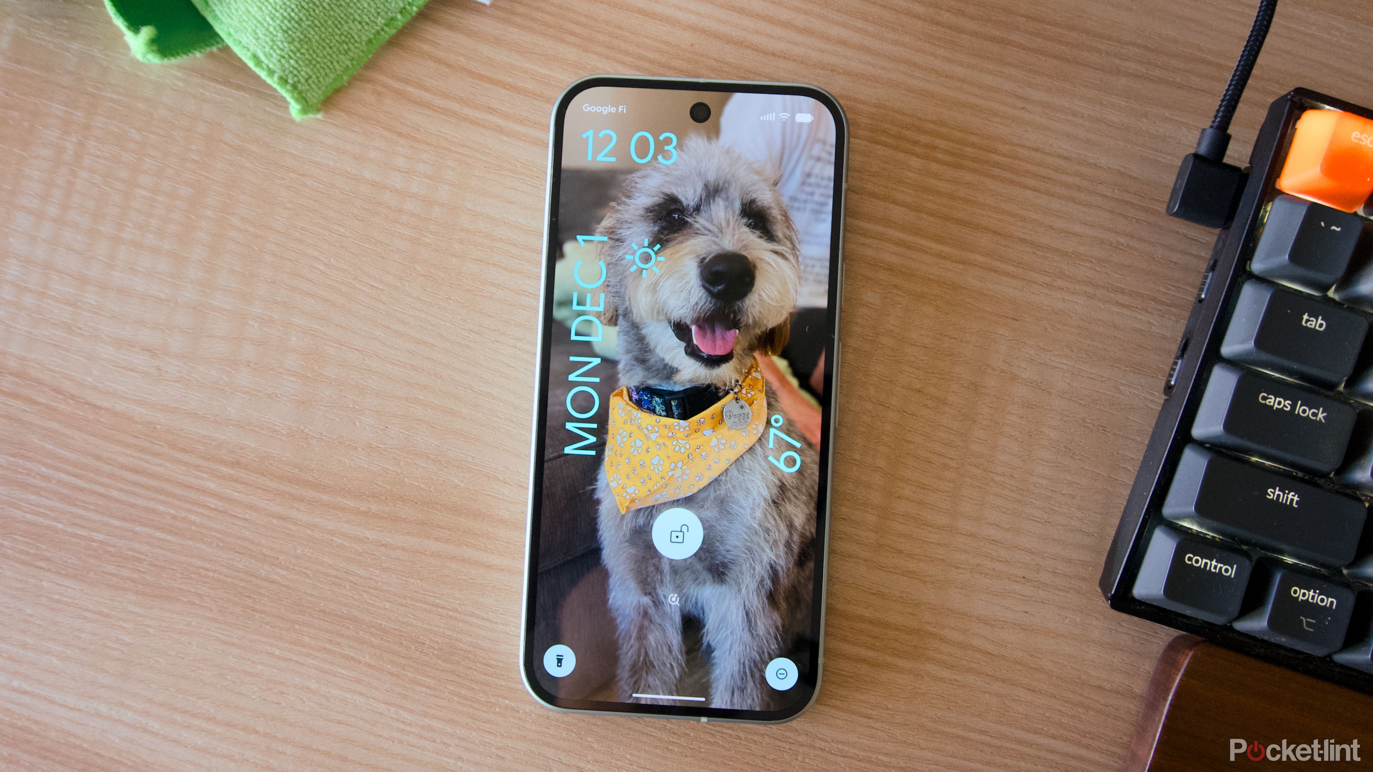 A Pixel 9 on a desk displaying a lockscreen with a picture of a dog.