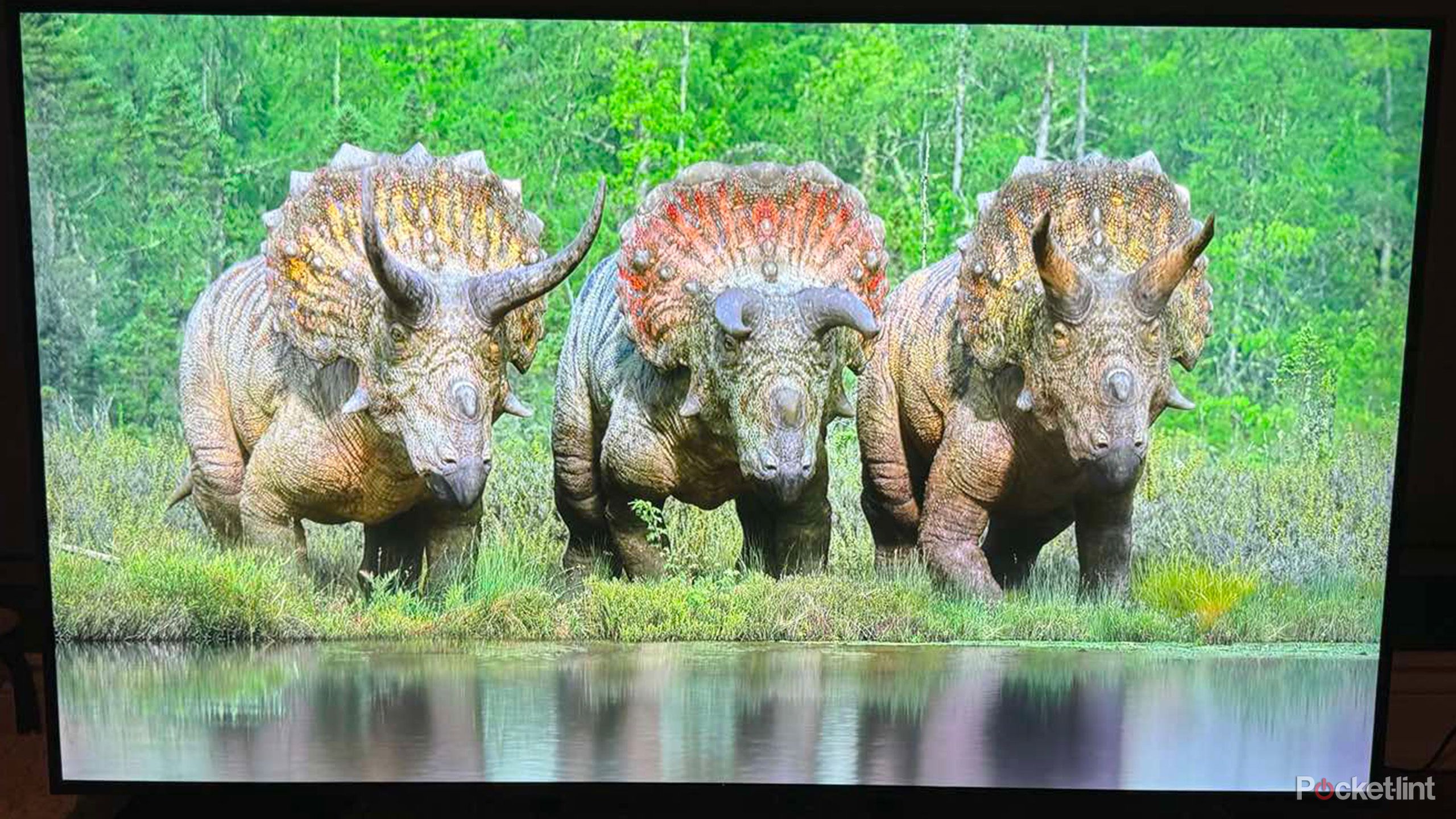 This LG TV is big on vivid colors but lacks details in the dark