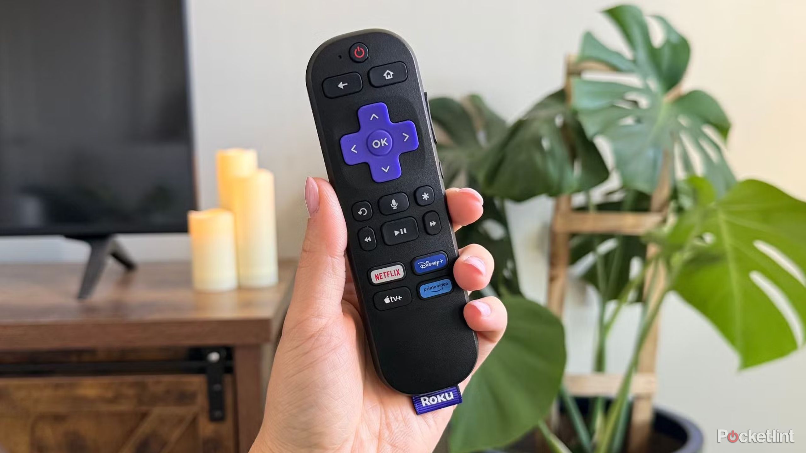 Person holding Roku remote.
