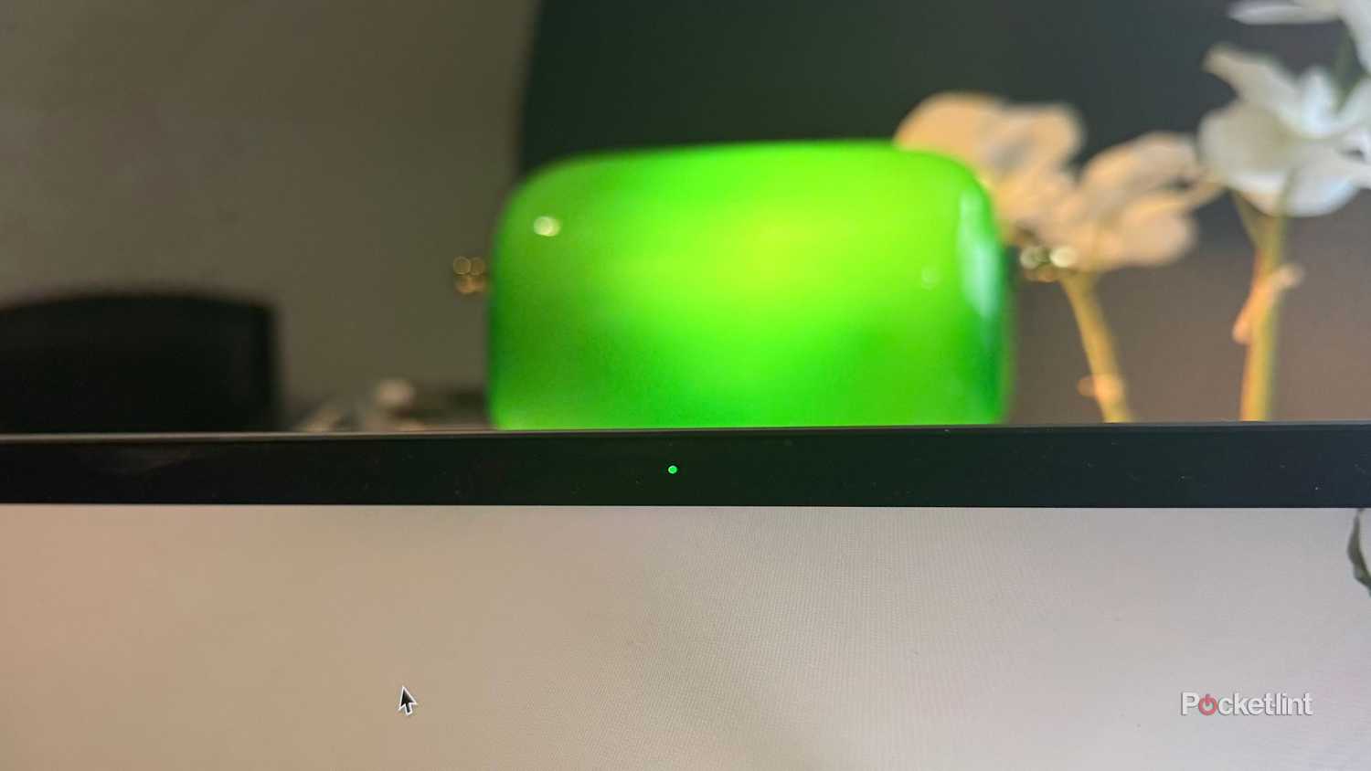 Green webcam light.