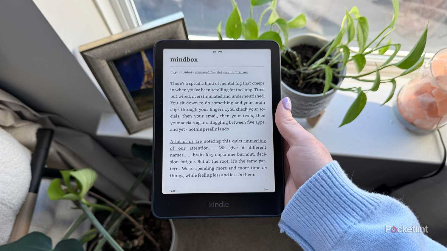 A Kindle and plants.