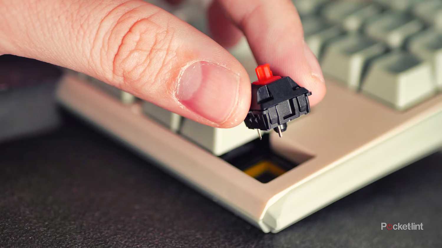 A hand putting a switch into a mechanical keyboard.