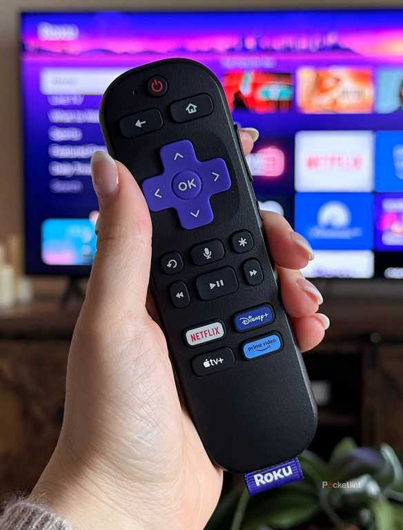Using Weird Remote This weird, DIY hack will make it so you never lose your Roku remote again