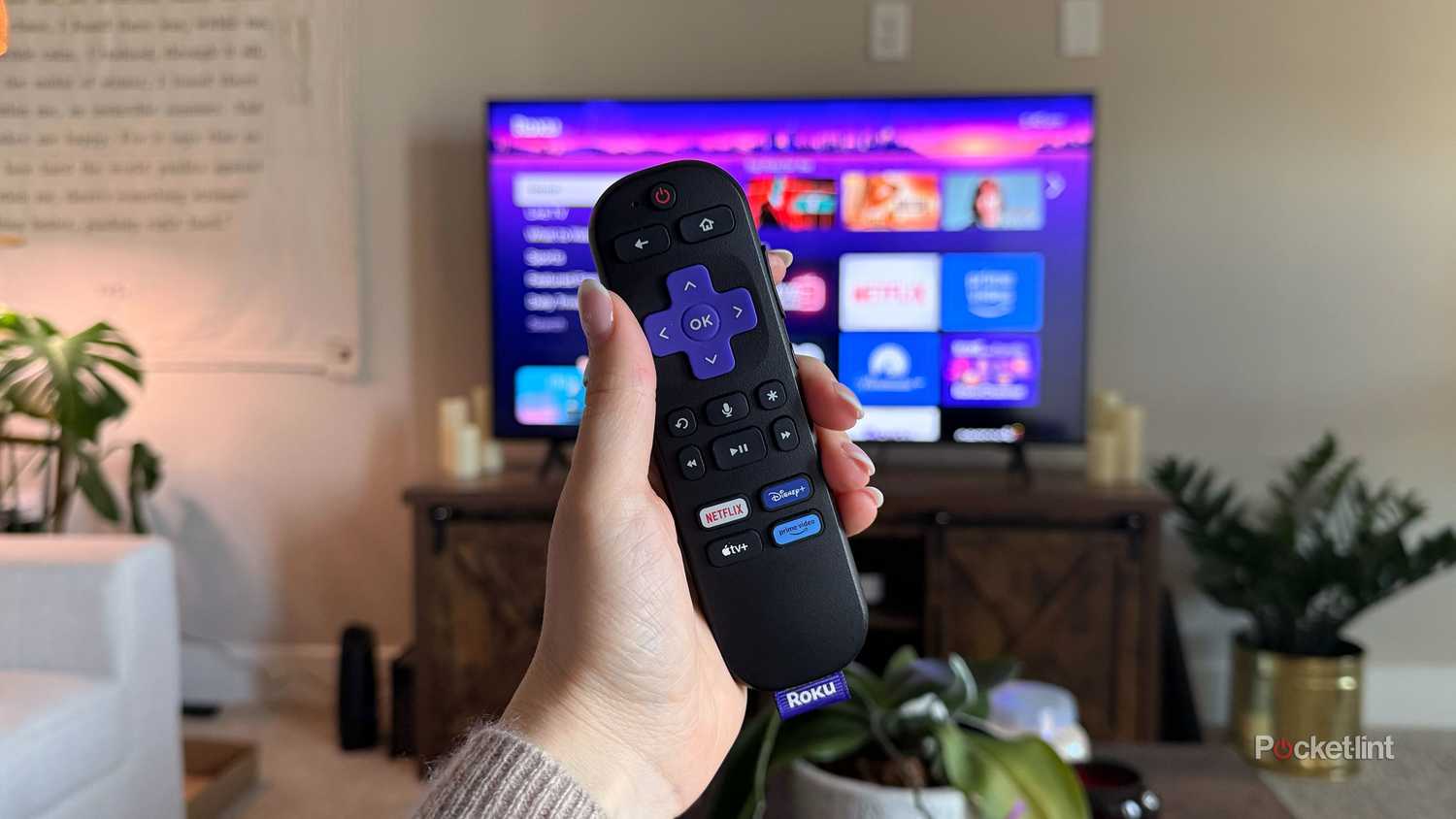 Person holding Roku remote in front of Roku TV.