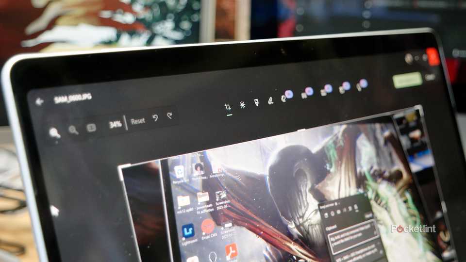 A close up of the Windows 11 Photos app in Edit mode