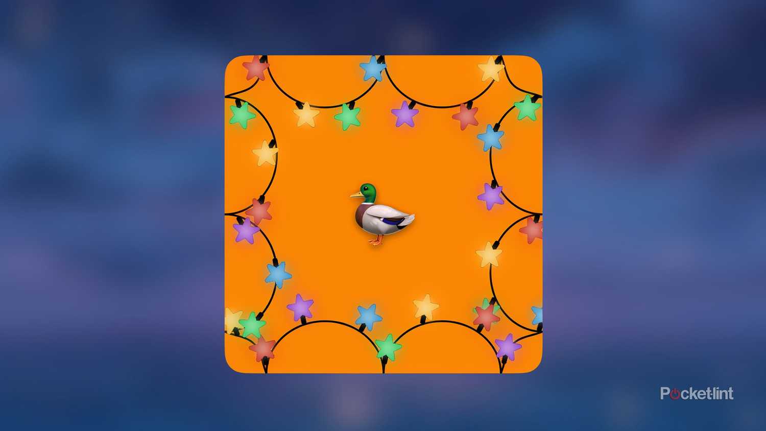 Festivitas screenshot