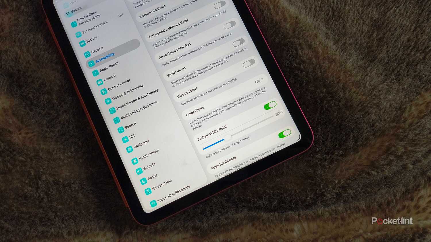 Reducing a White Point feature on iPadOS. 