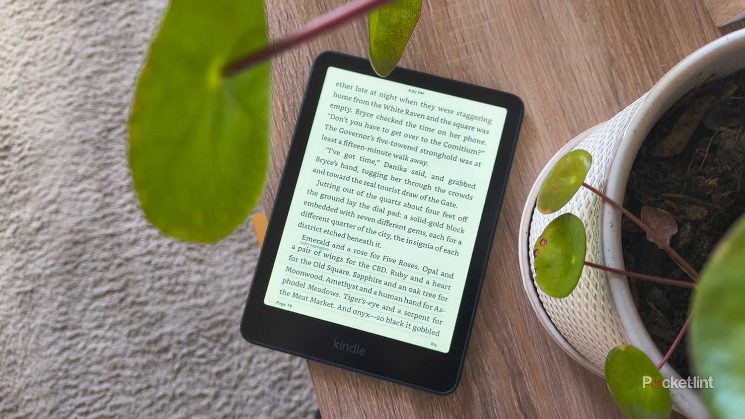 A Kindle beneath a plant.