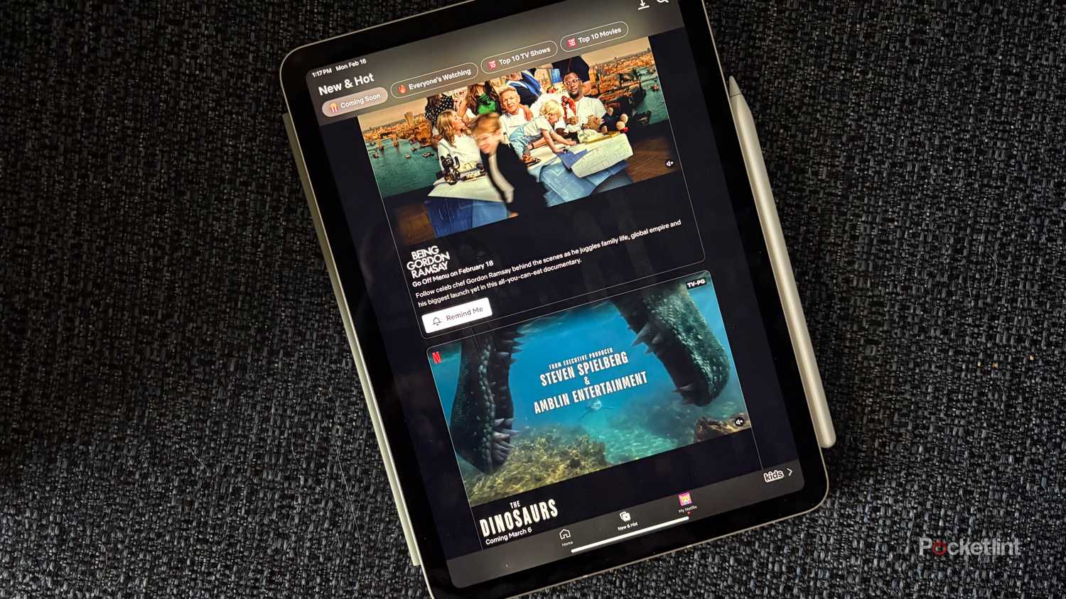 Netflix on an iPad Air