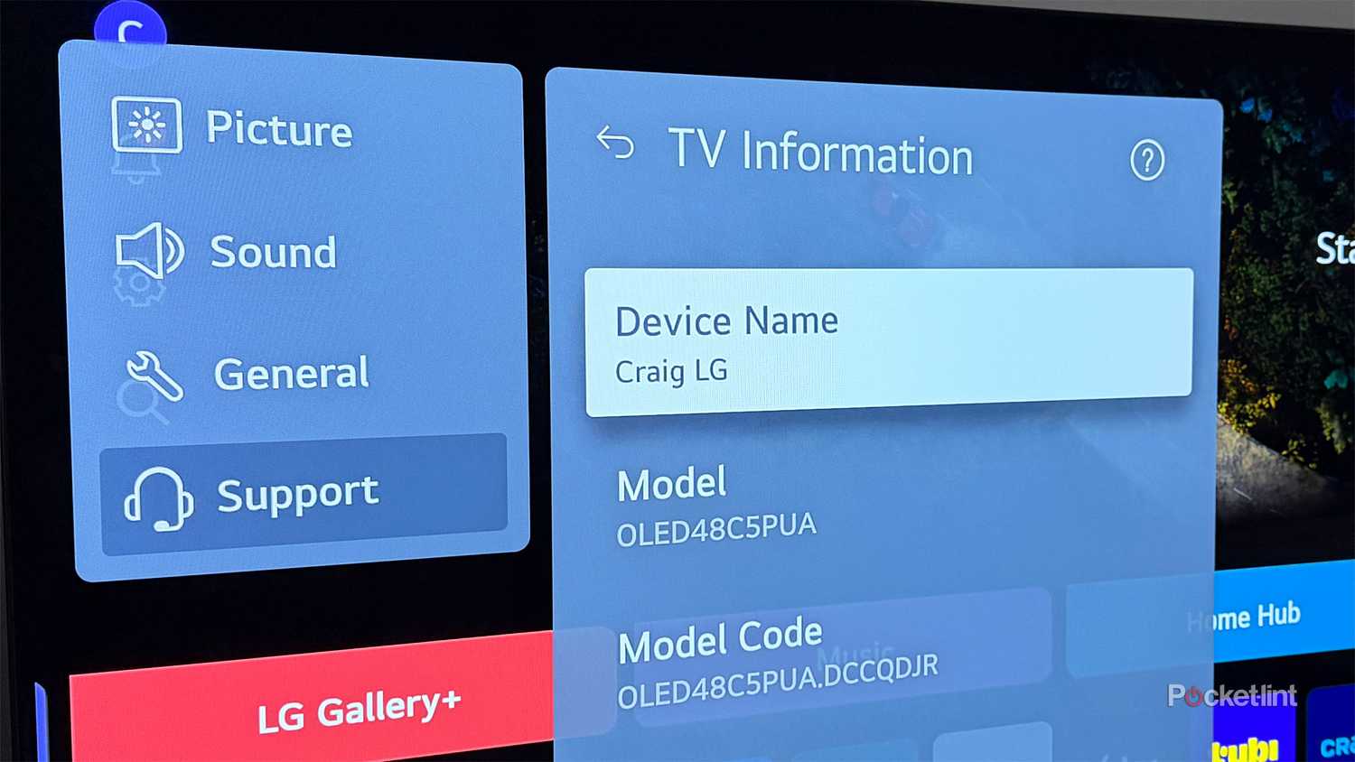 LG TV device name setting.