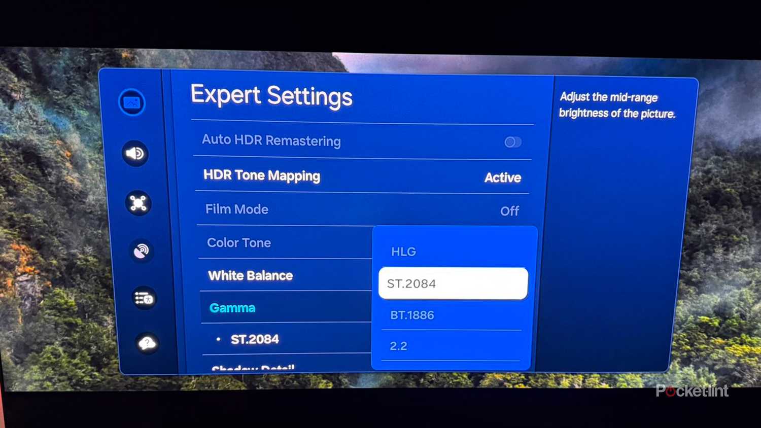 Options de réglage gamma dans le menu Paramètres experts sur un téléviseur intelligent Samsung OLED.