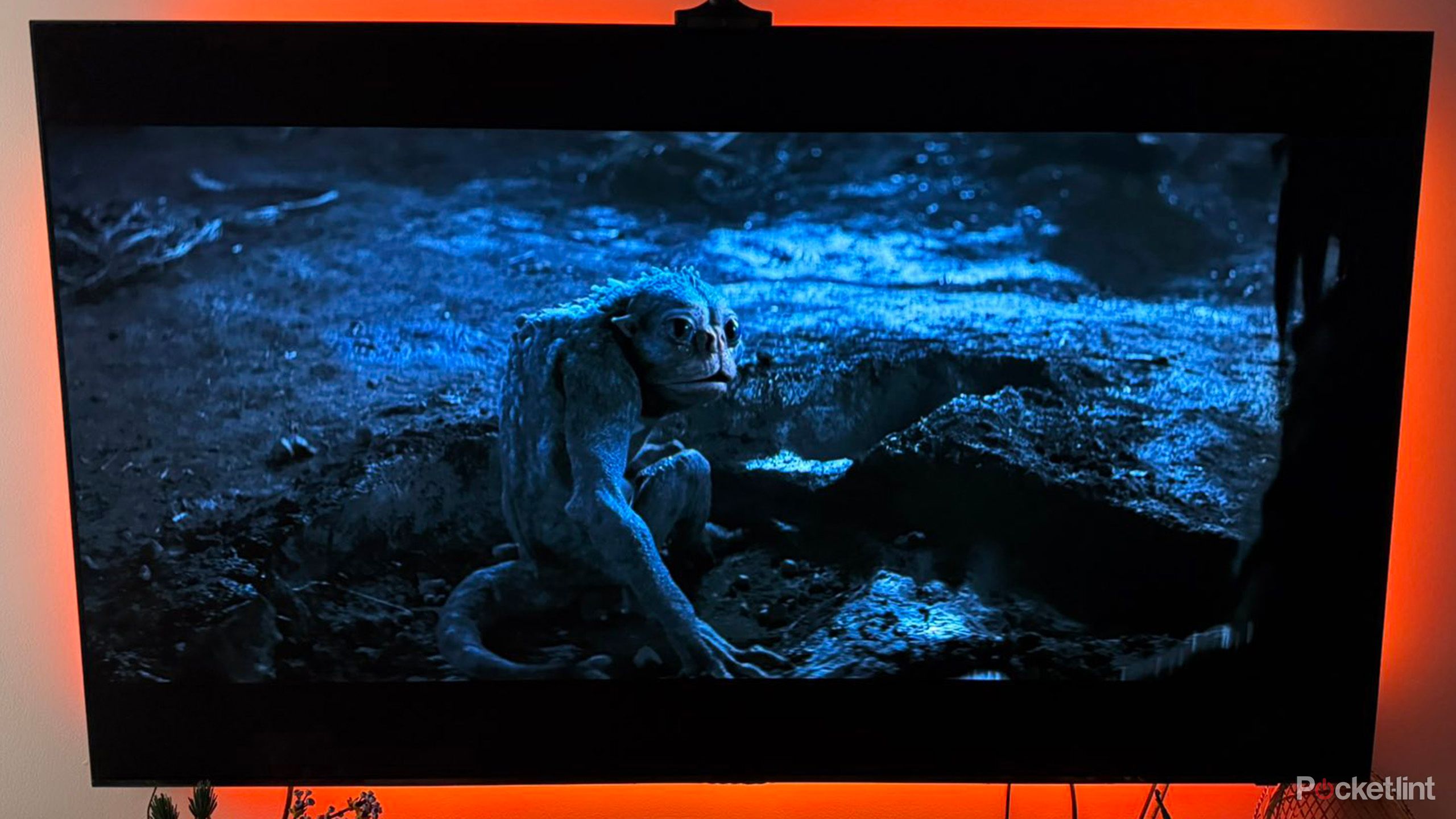 There are two types of LCD TV you don’t know about