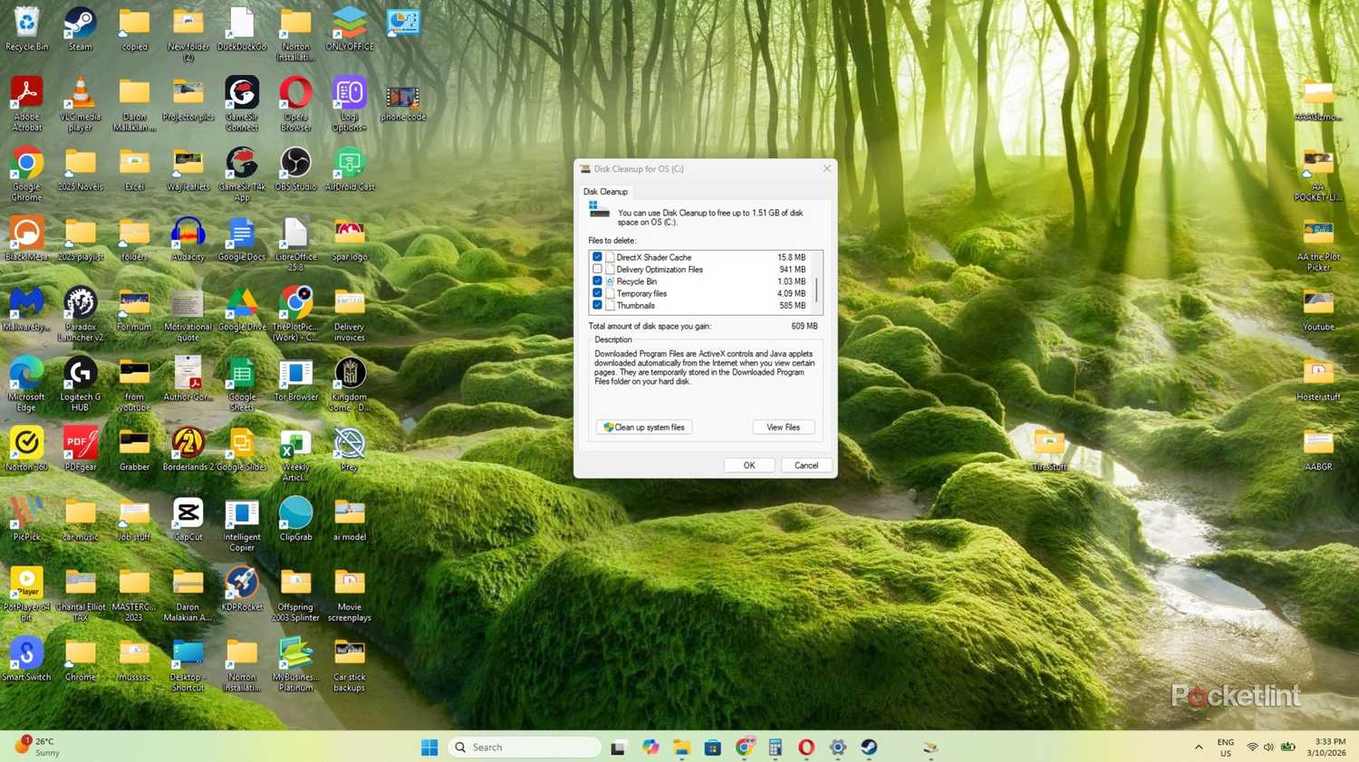 Windows Disk Cleanup