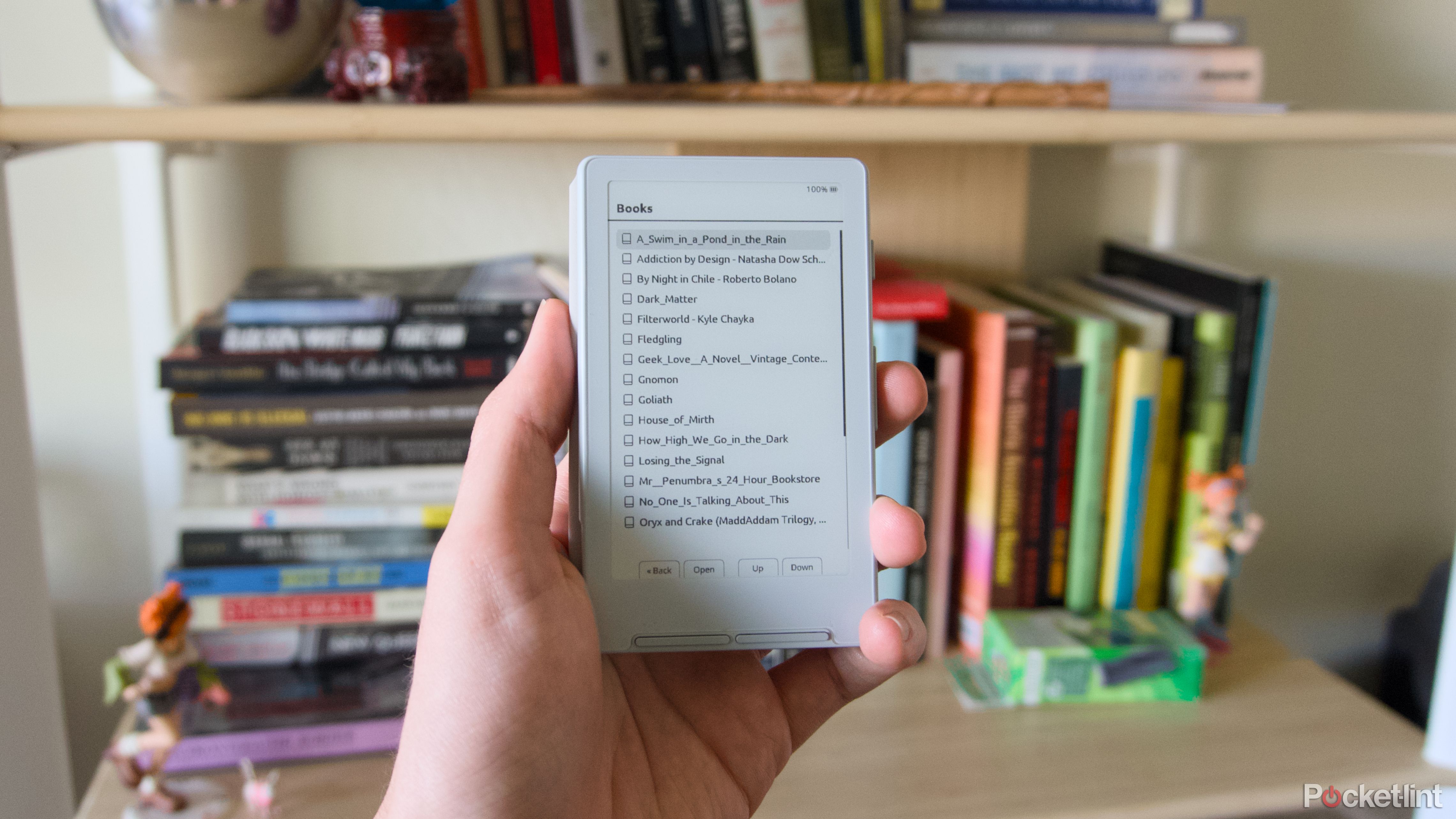 I tinkered with my micro e-reader and made it better than a Kindle