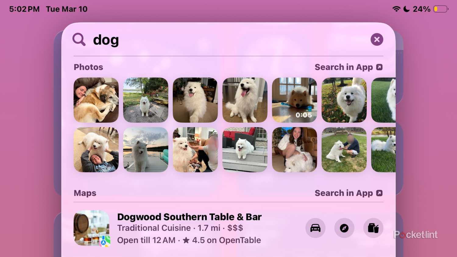Spotlight Search on an iPad showing dog searches. 