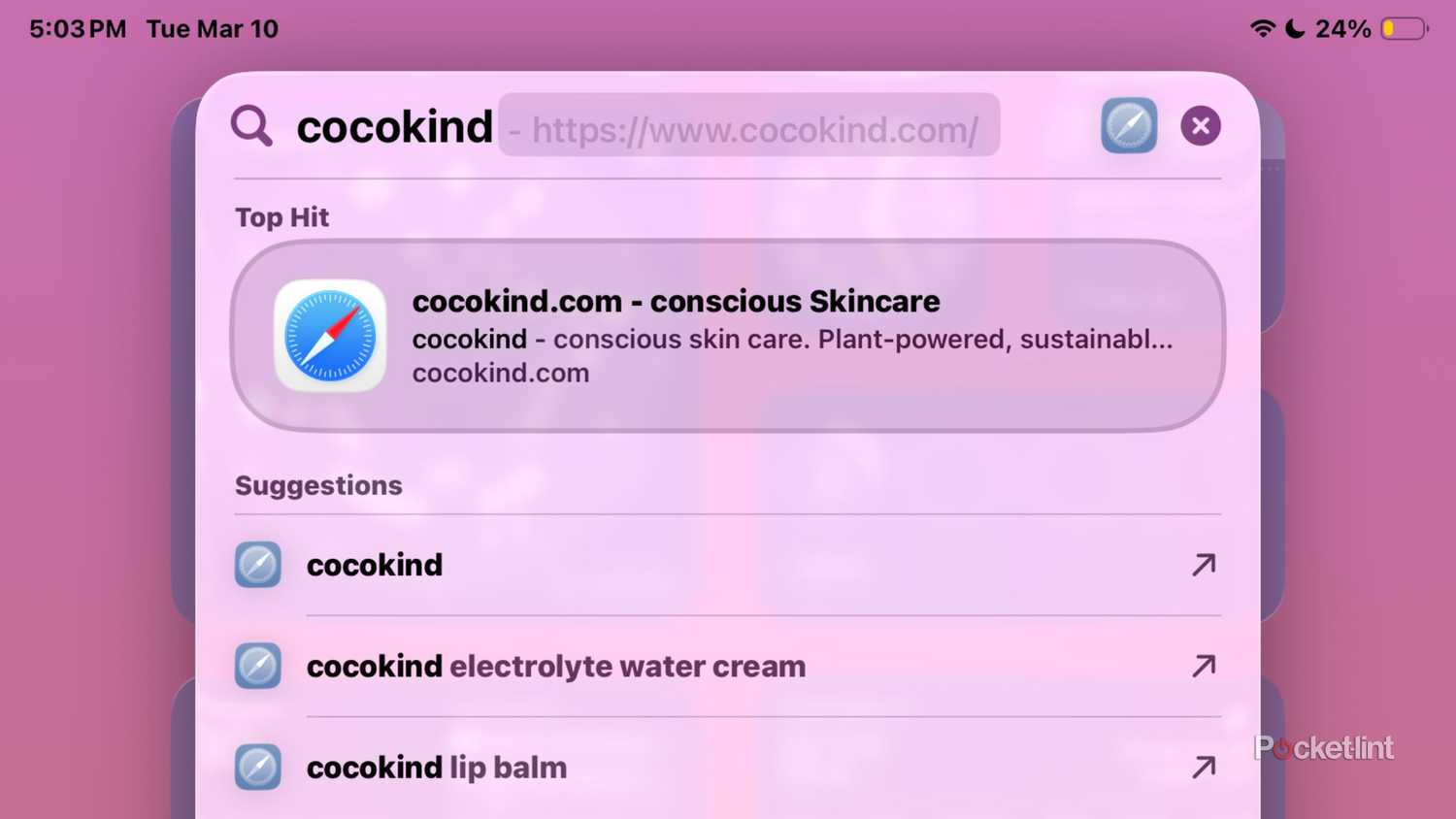 Spotlight Search on an iPad showing cocokind search. 