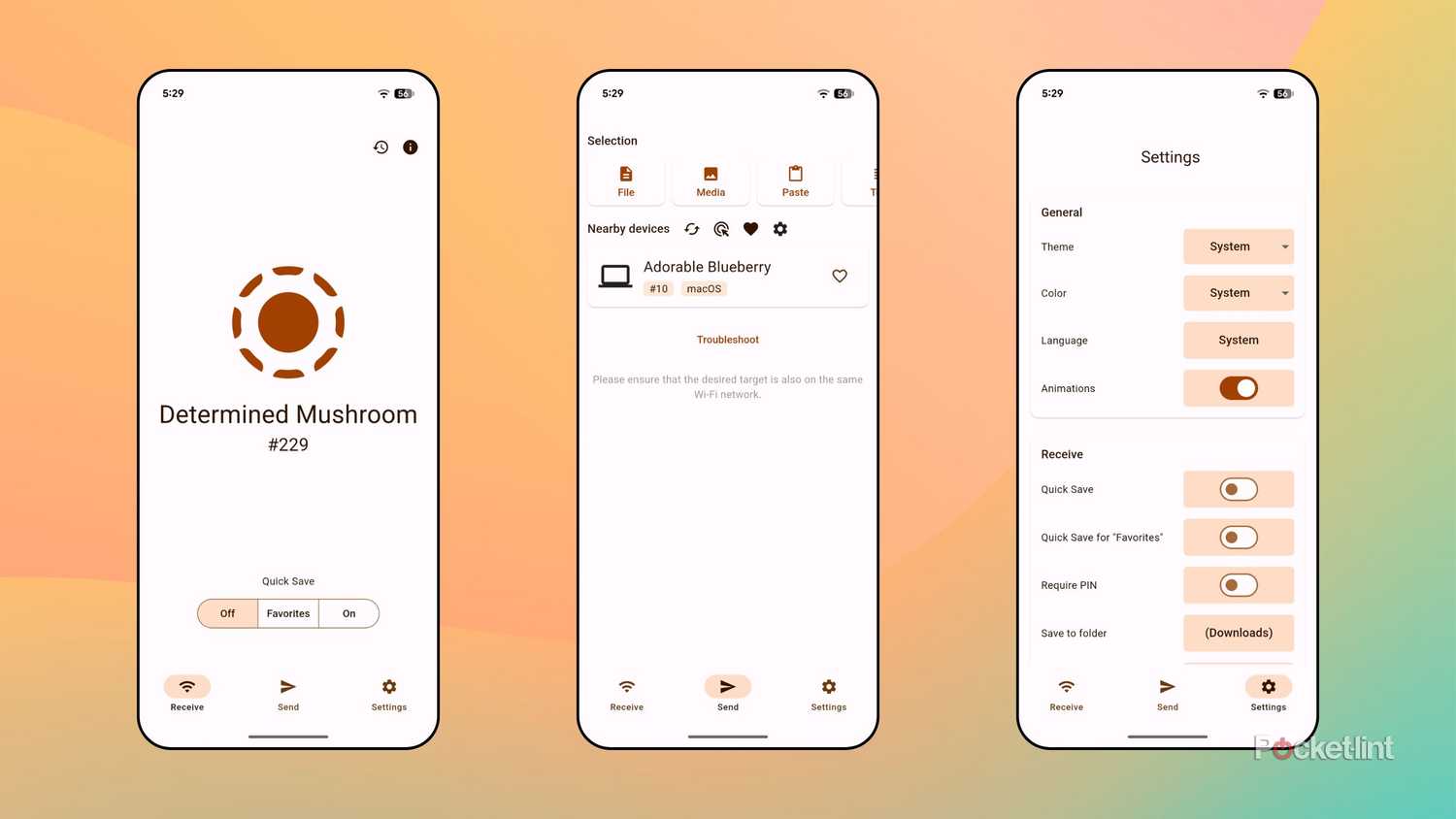 LocalSend screenshots